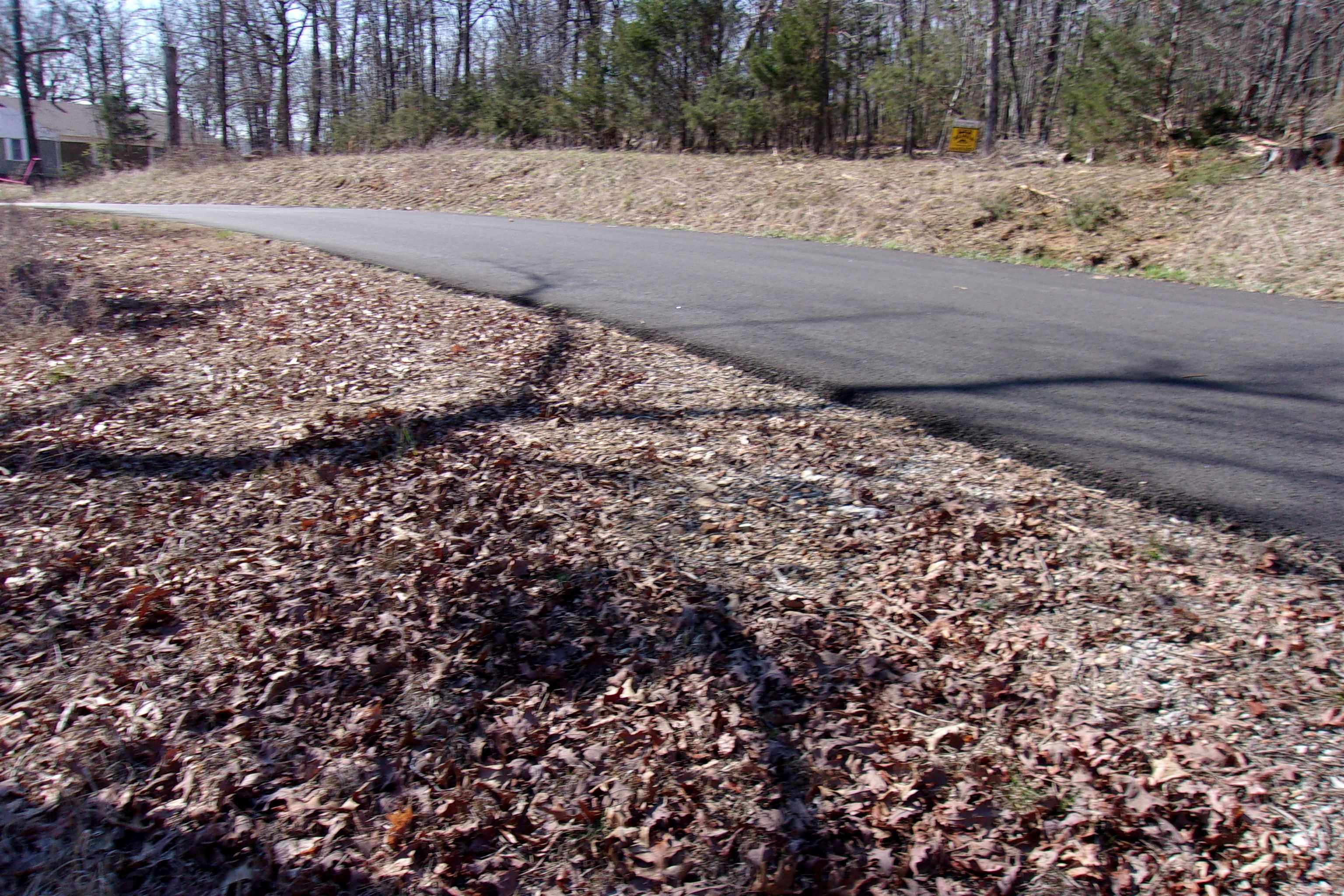 Lot 10  Country Club Lane  Bull Shoals, AR