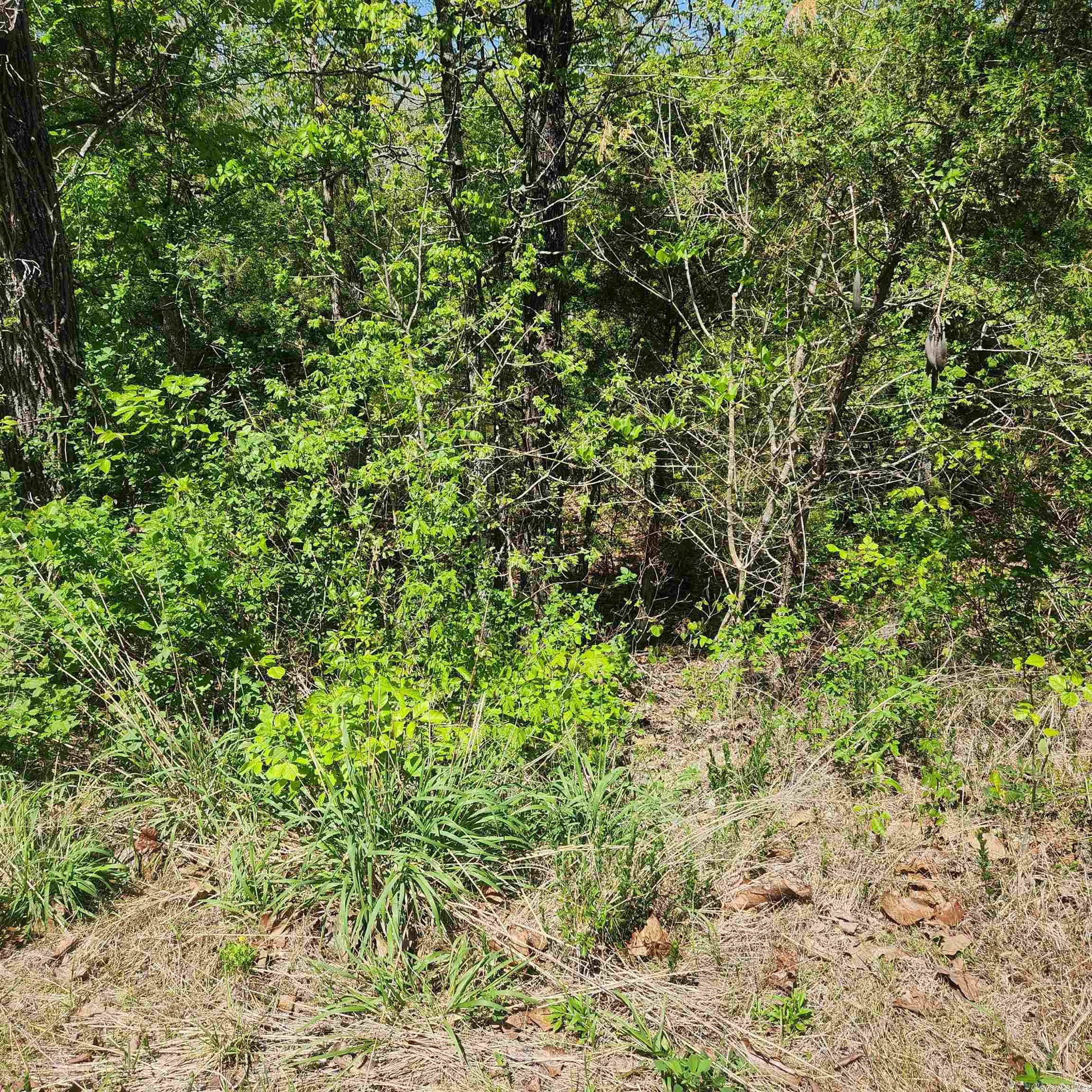 L-9 B-2  Minnetree  Cherokee Village, AR