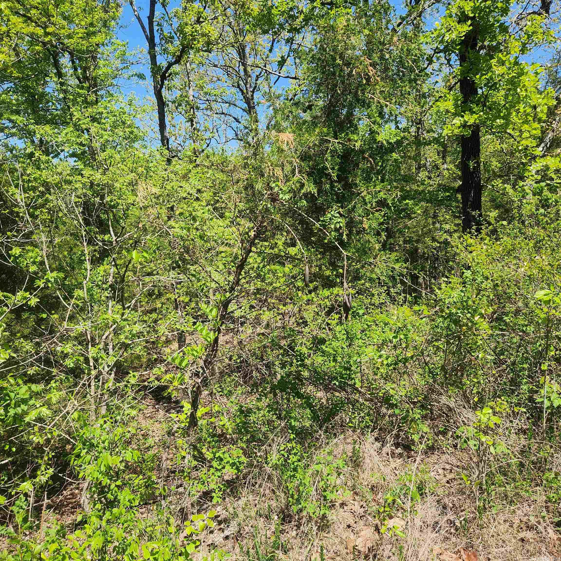 L-9 B-2  Minnetree  Cherokee Village, AR