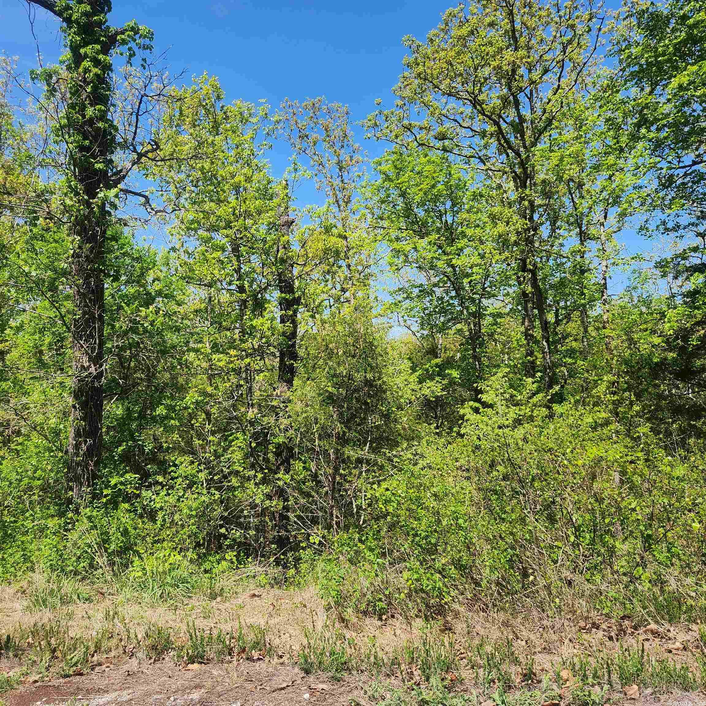 L-9 B-2  Minnetree  Cherokee Village, AR