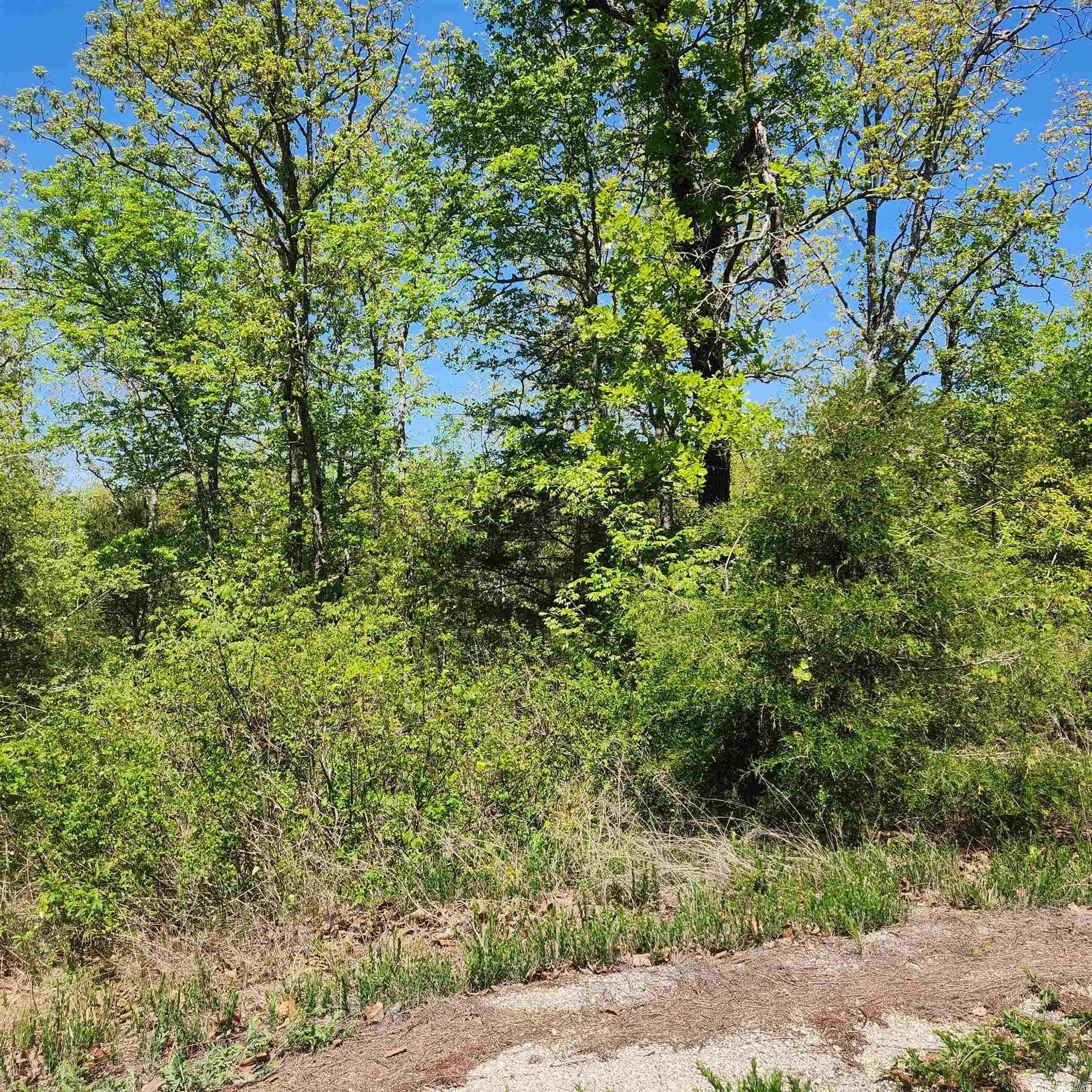 L-9 B-2  Minnetree  Cherokee Village, AR