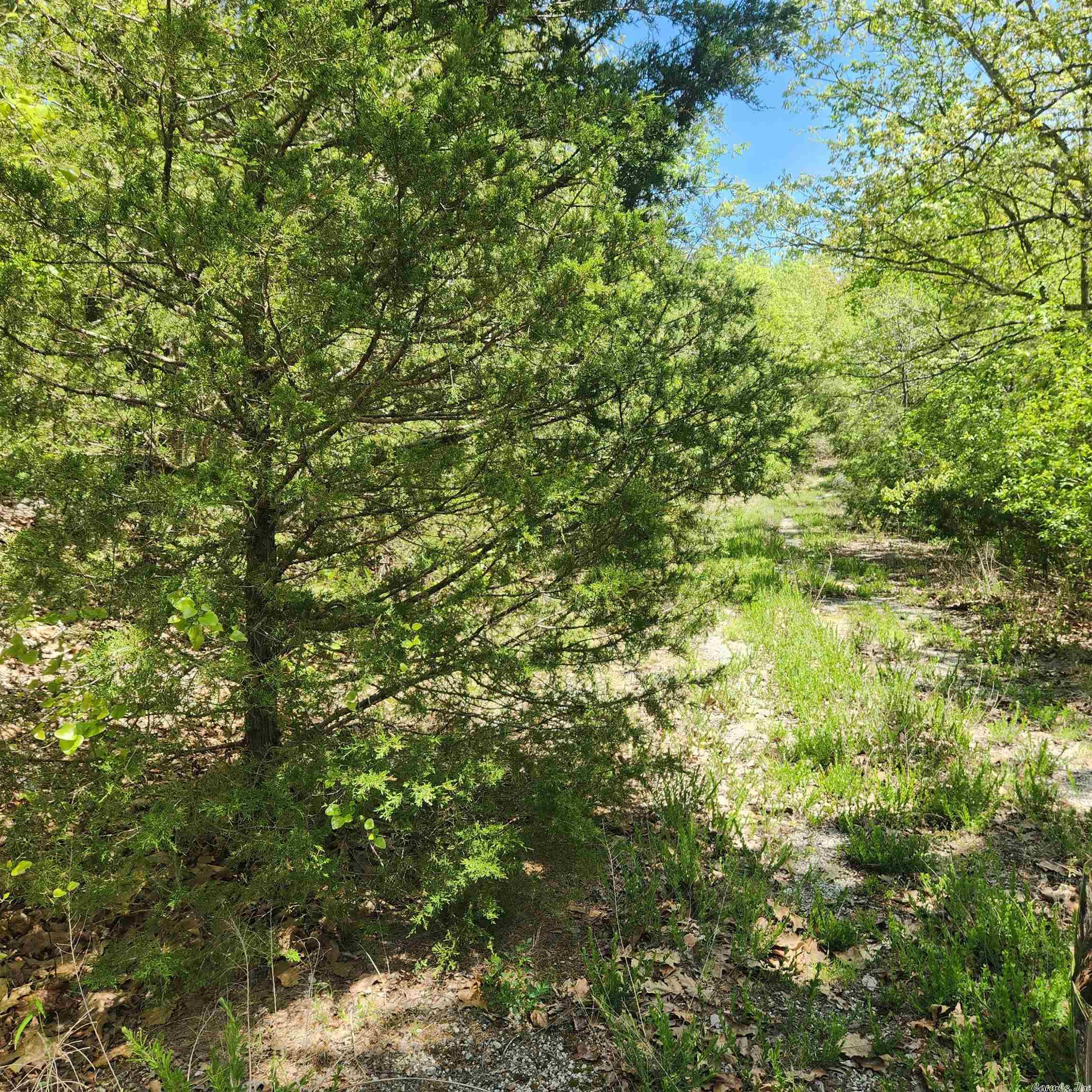 L-61 B-1  Kayenta  Cherokee Village, AR