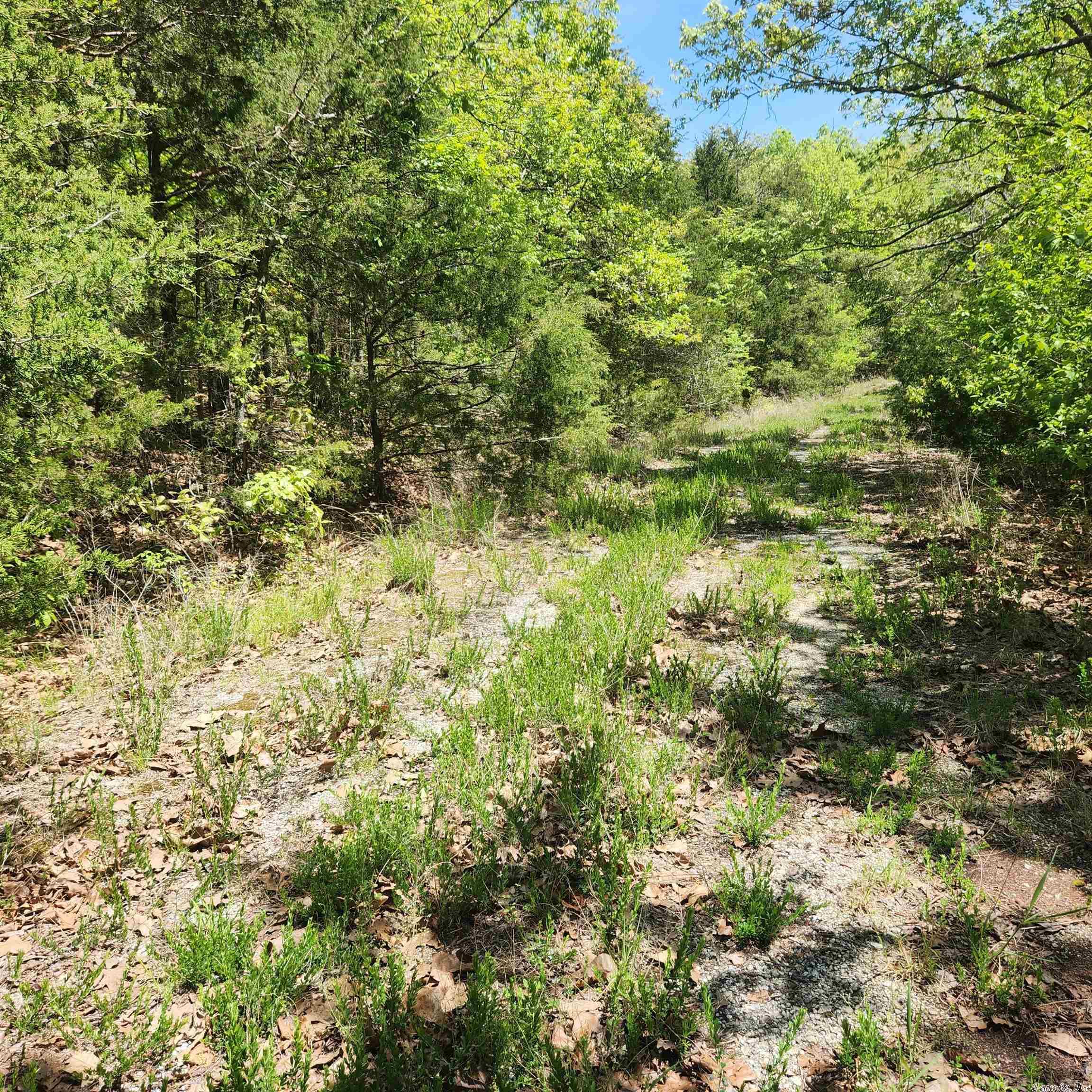 L-61 B-1  Kayenta  Cherokee Village, AR