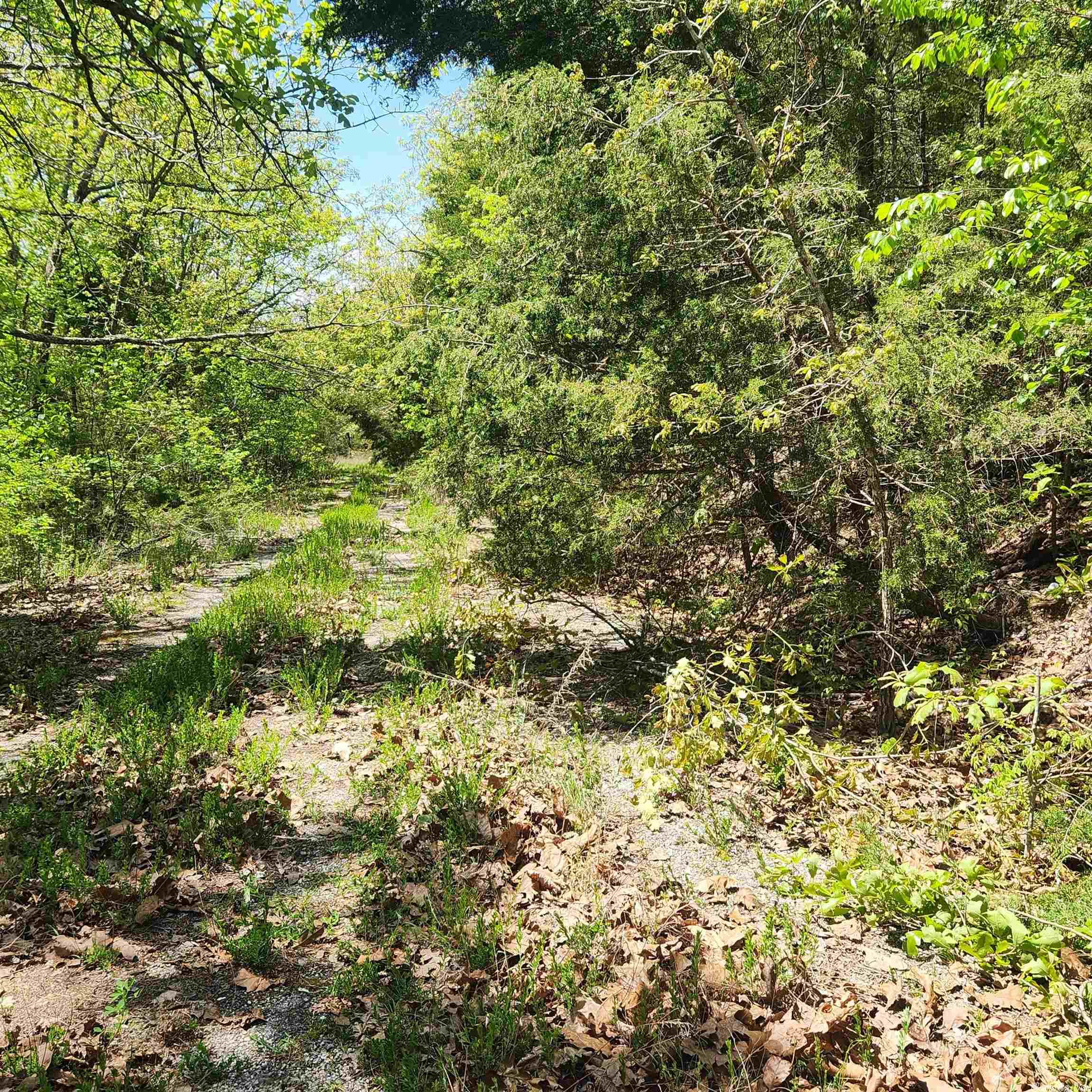 L-64 B-1  Kayenta  Cherokee Village, AR