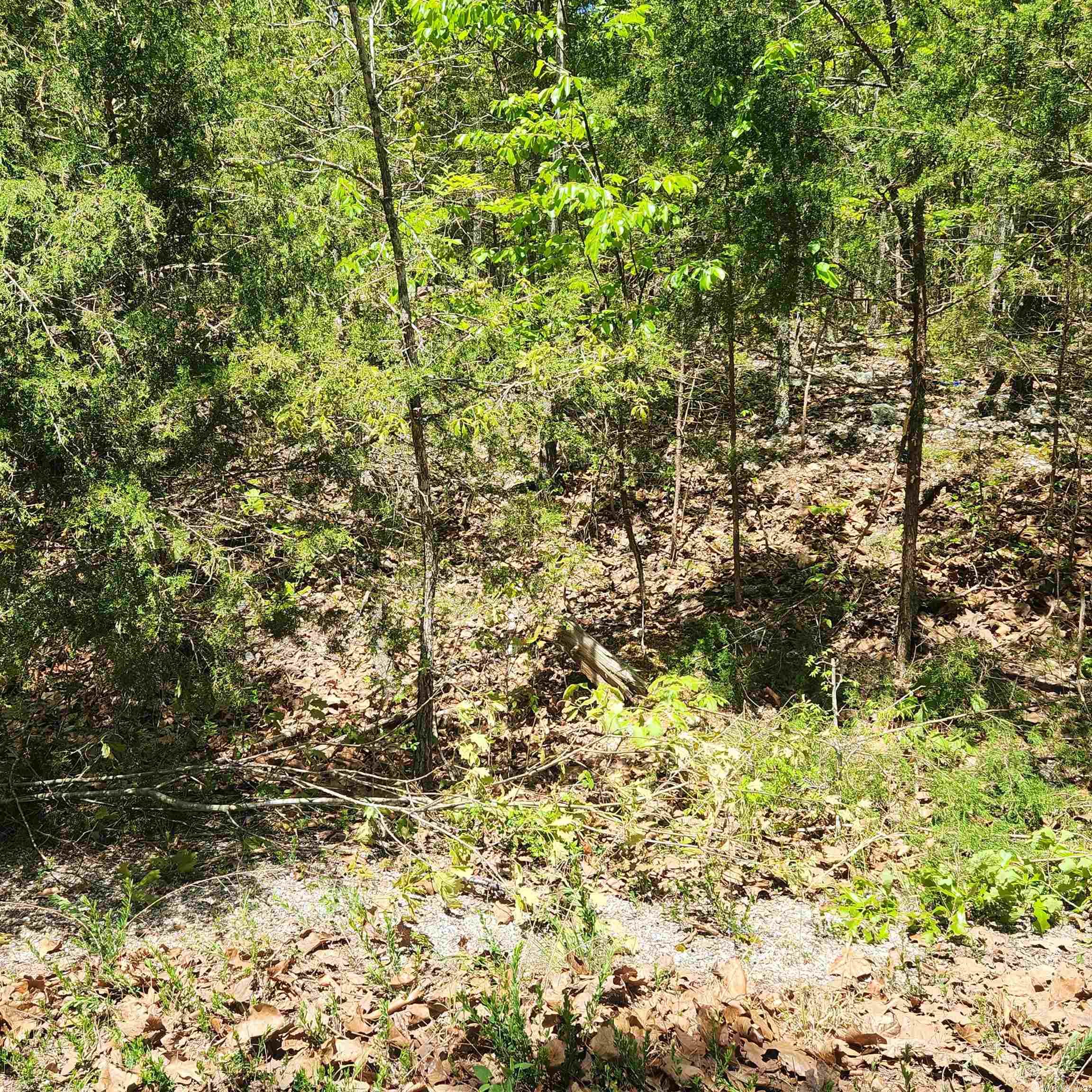 L-64 B-1  Kayenta  Cherokee Village, AR