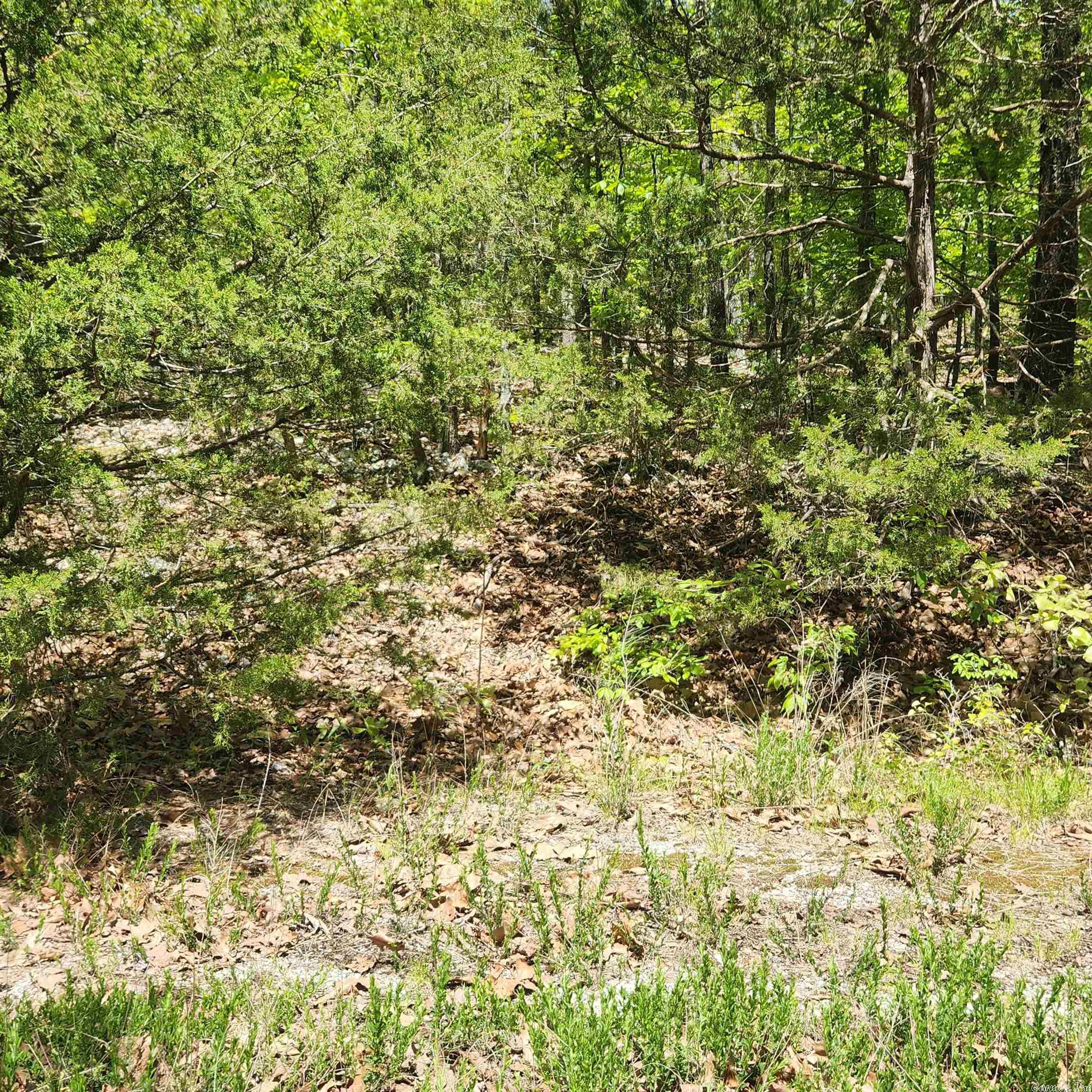 L-64 B-1  Kayenta  Cherokee Village, AR