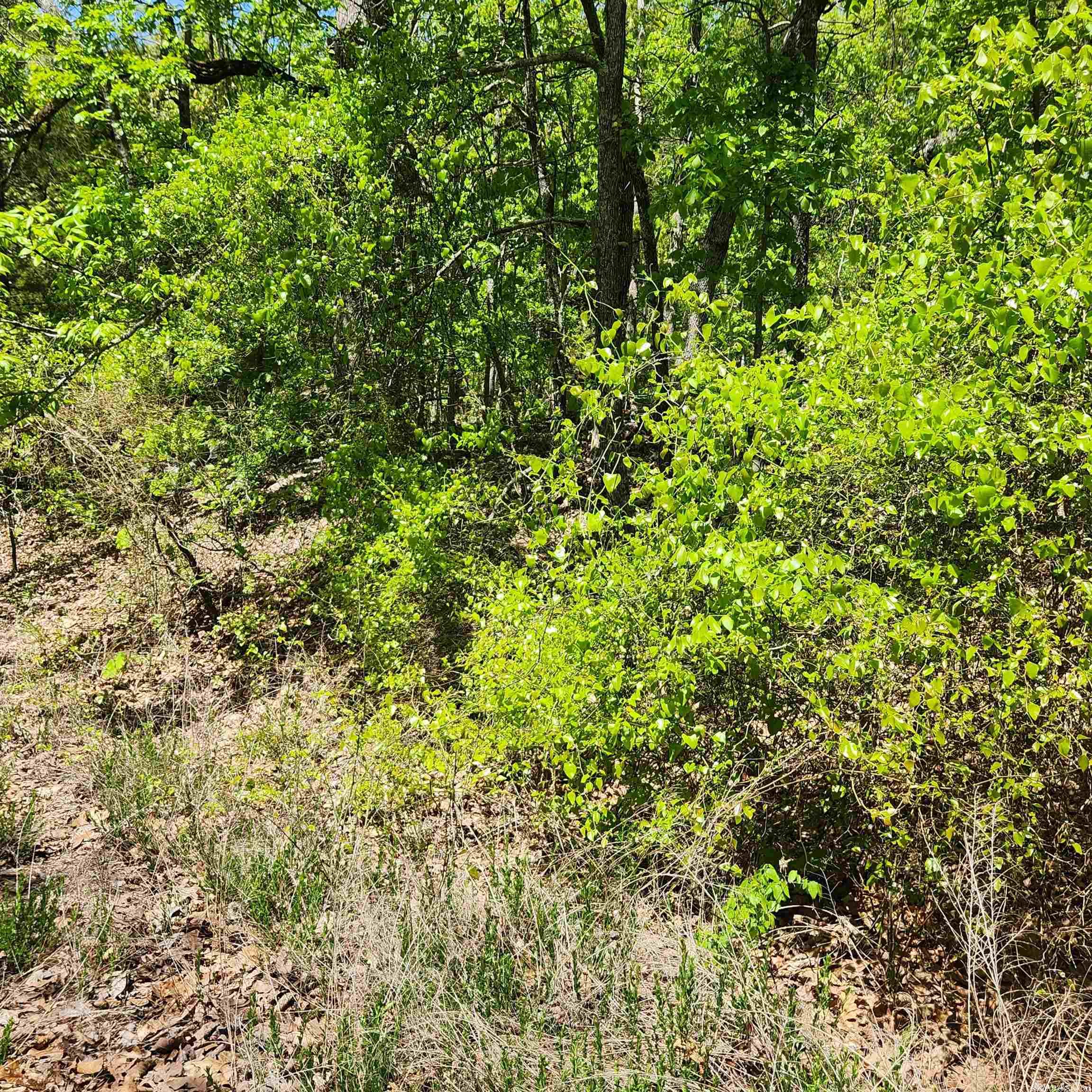 L-65 B-1  Kayenta  Cherokee Village, AR