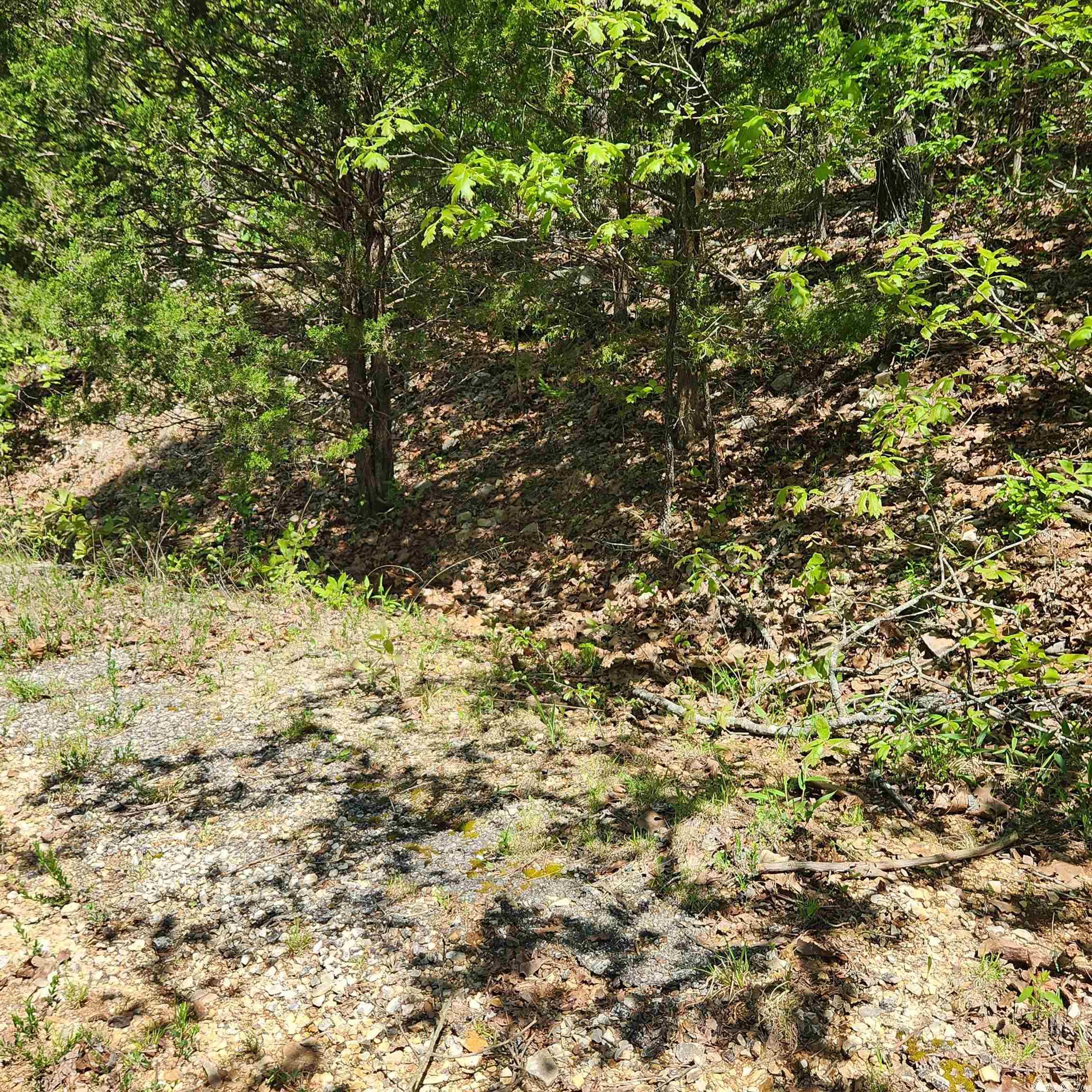 L-69 B-1  Kayenta  Cherokee Village, AR