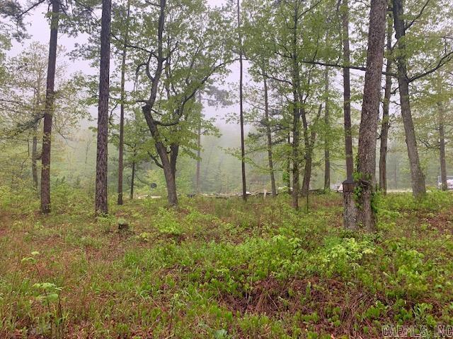 740  Fox Hollow  Fox, AR