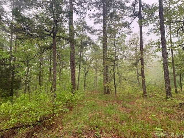 740  Fox Hollow  Fox, AR