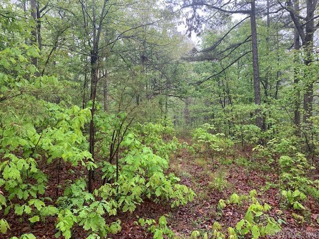 740  Fox Hollow  Fox, AR