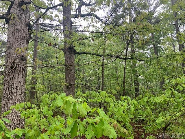 740  Fox Hollow  Fox, AR