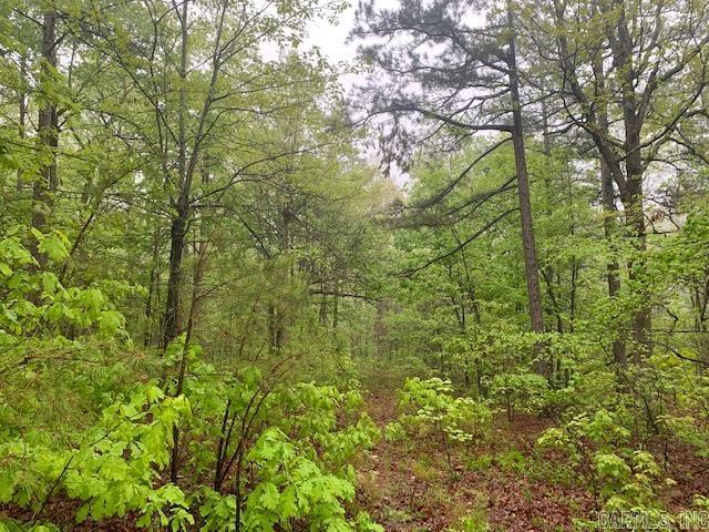 740  Fox Hollow  Fox, AR