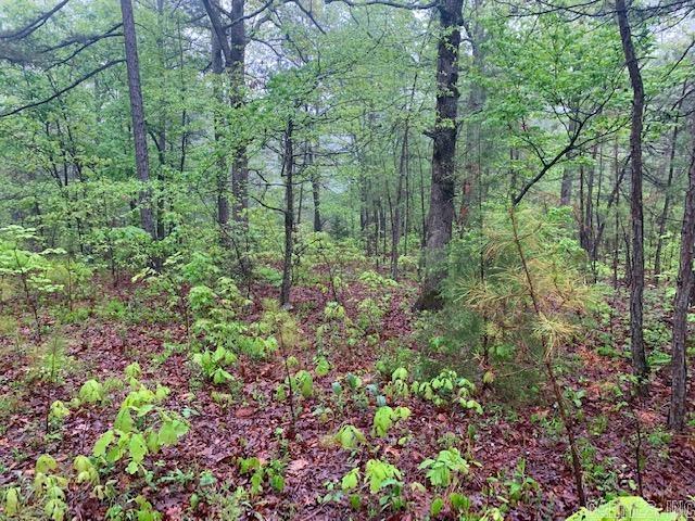 740  Fox Hollow  Fox, AR