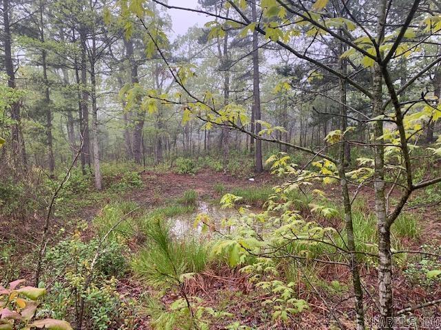740  Fox Hollow  Fox, AR