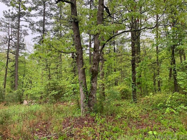 740  Fox Hollow  Fox, AR