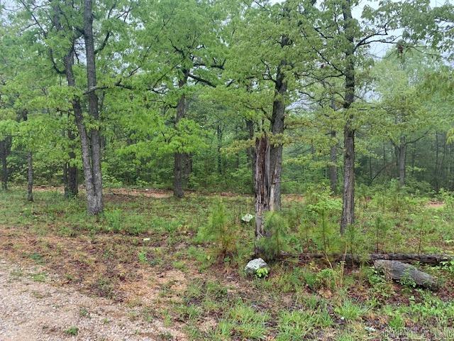 740  Fox Hollow  Fox, AR