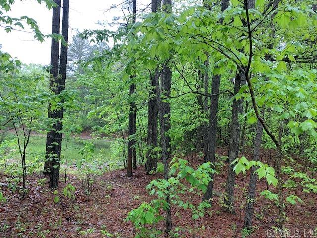 740  Fox Hollow  Fox, AR