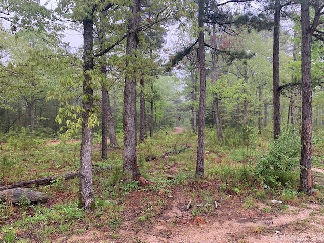 740  Fox Hollow  Fox, AR