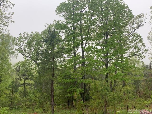 740  Fox Hollow  Fox, AR