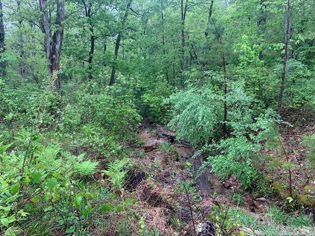740  Fox Hollow  Fox, AR