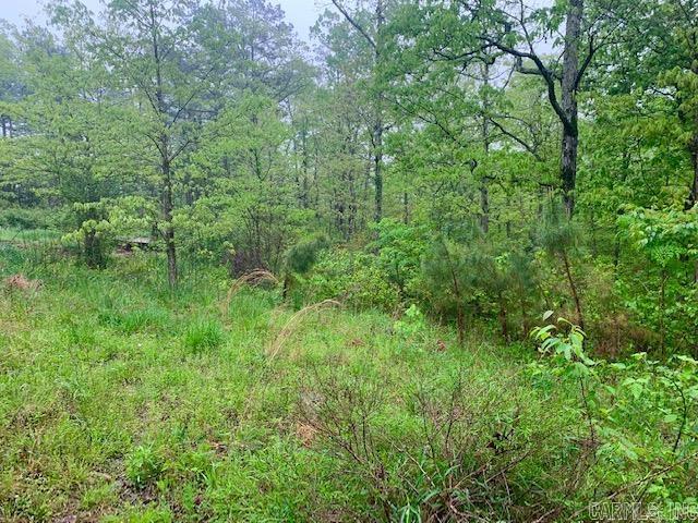 740  Fox Hollow  Fox, AR