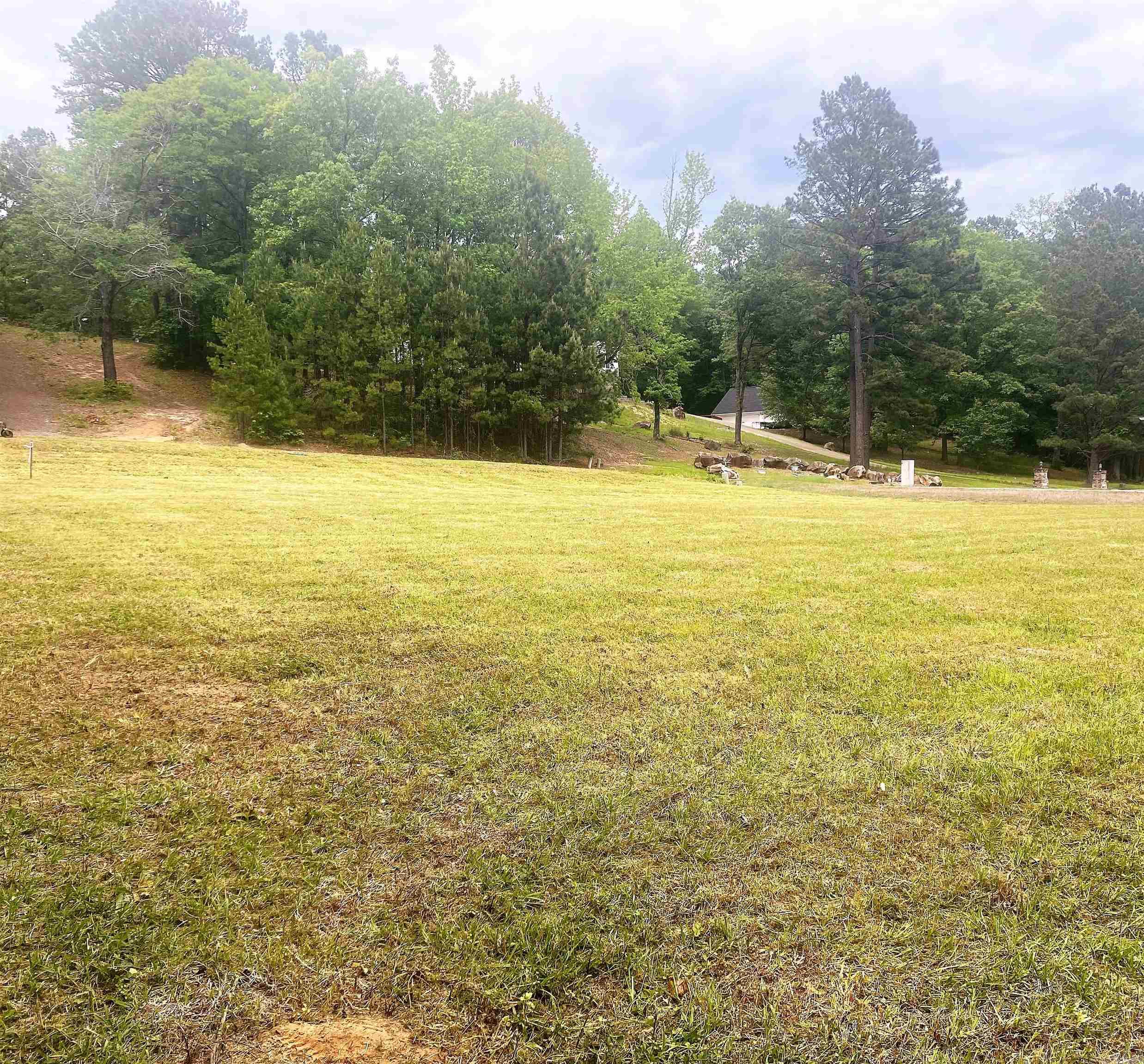 Lot 48 Willowbrook Street  Arkadelphia, AR