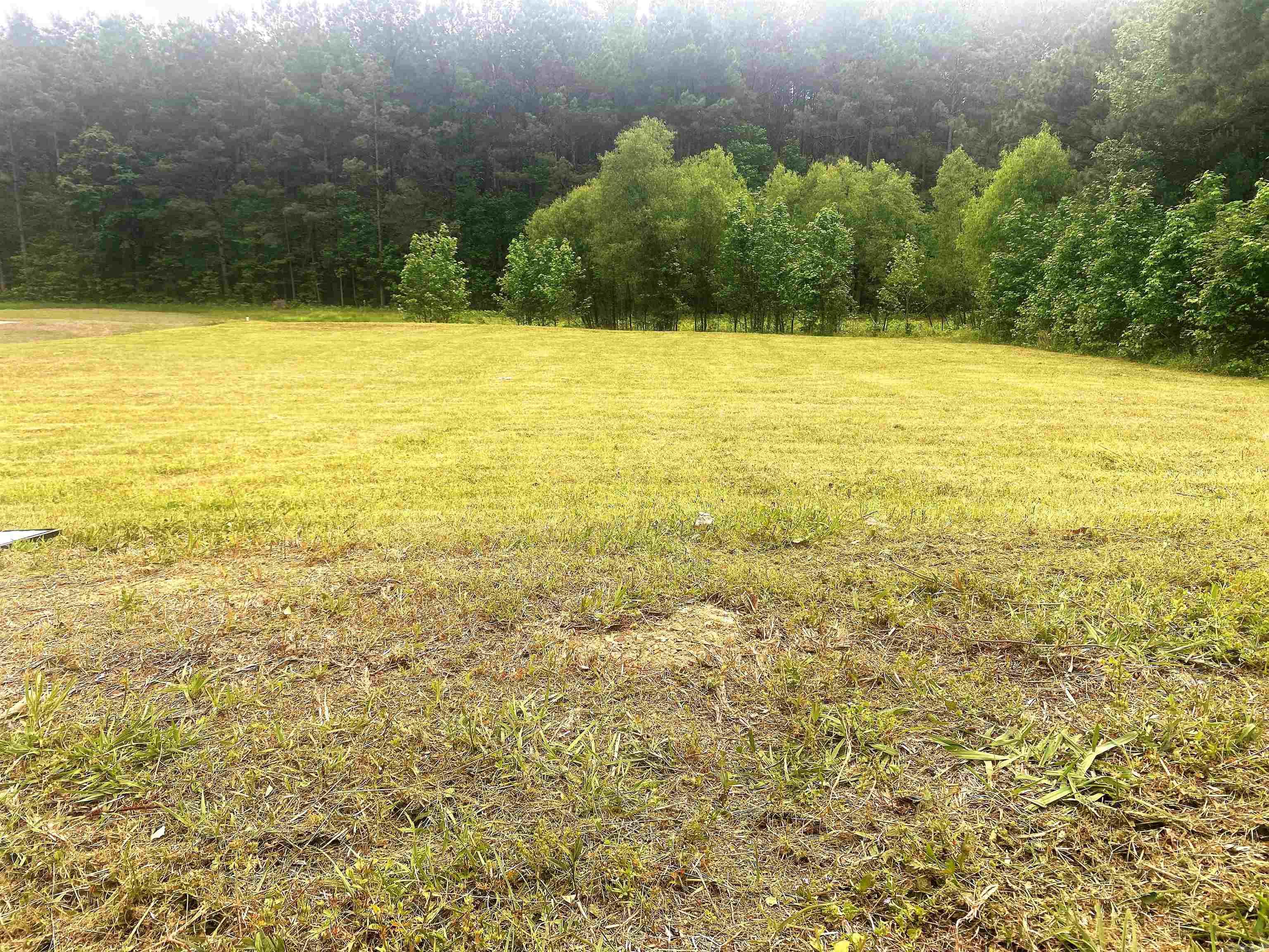 Lot 48 Willowbrook Street  Arkadelphia, AR