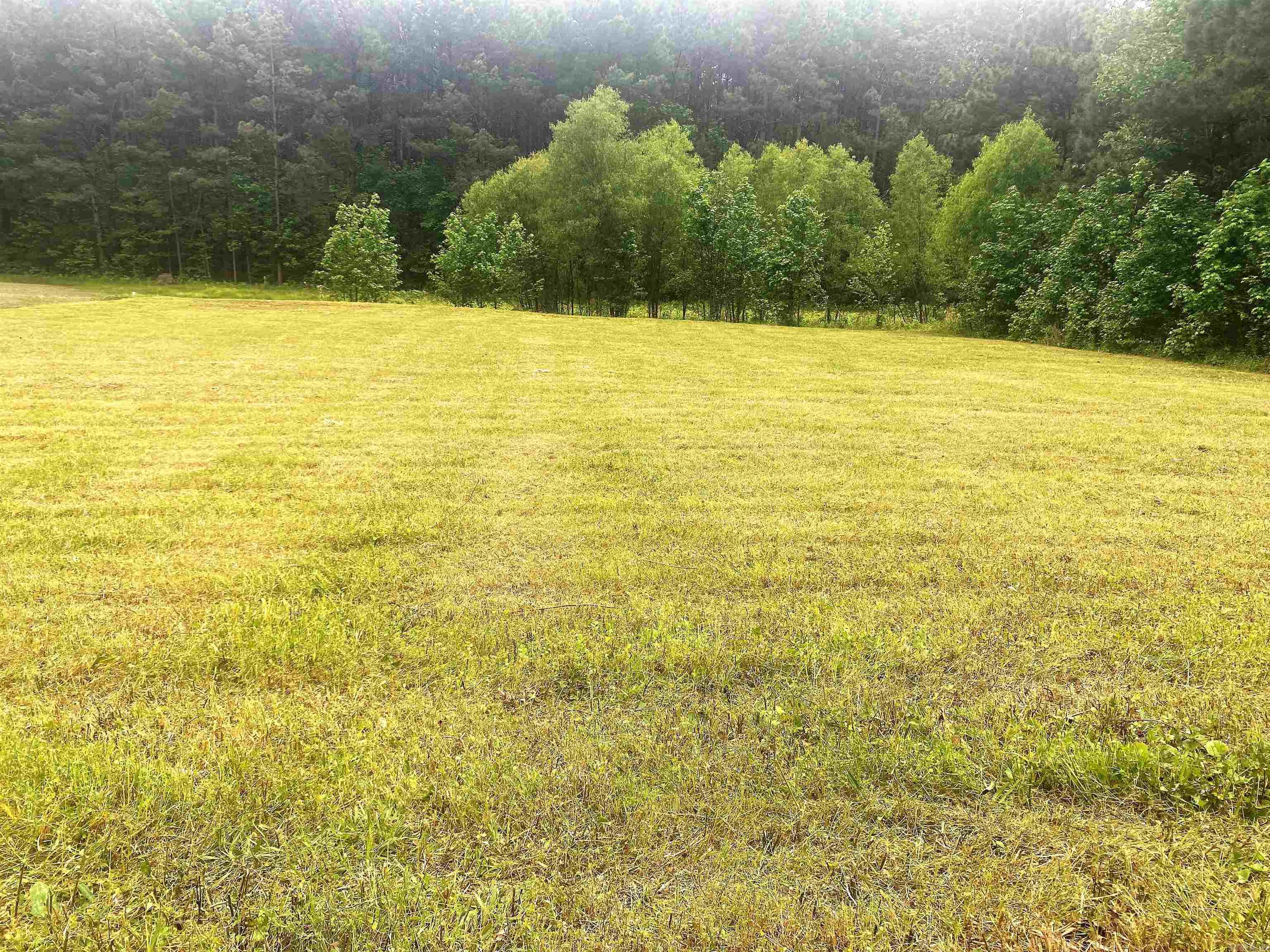 Lot 48 Willowbrook Street  Arkadelphia, AR