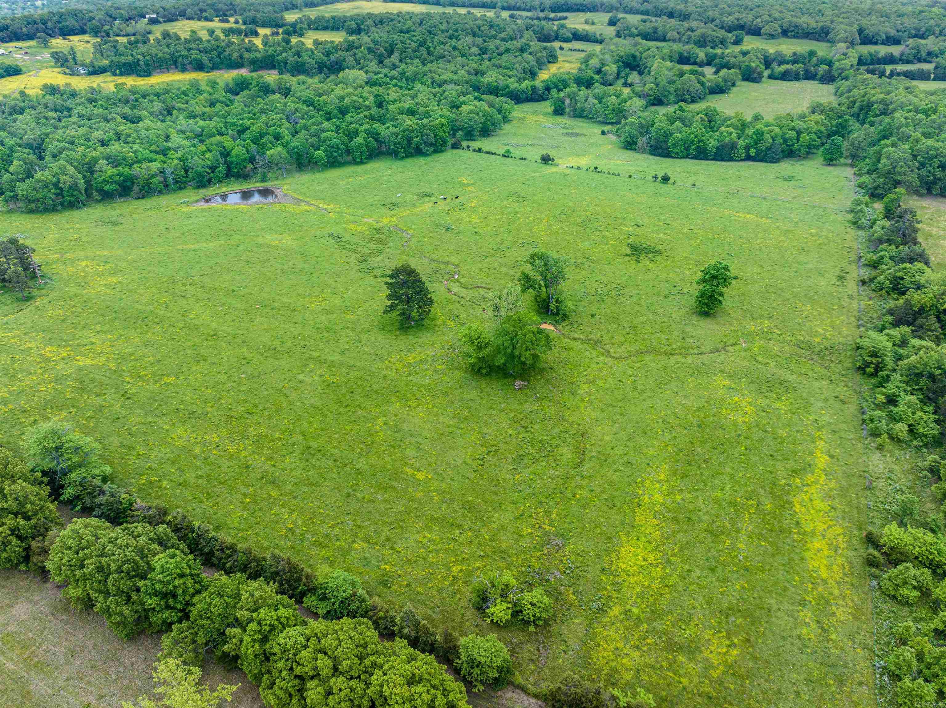 0 Simstown Road, Evening Shade, AR 72532