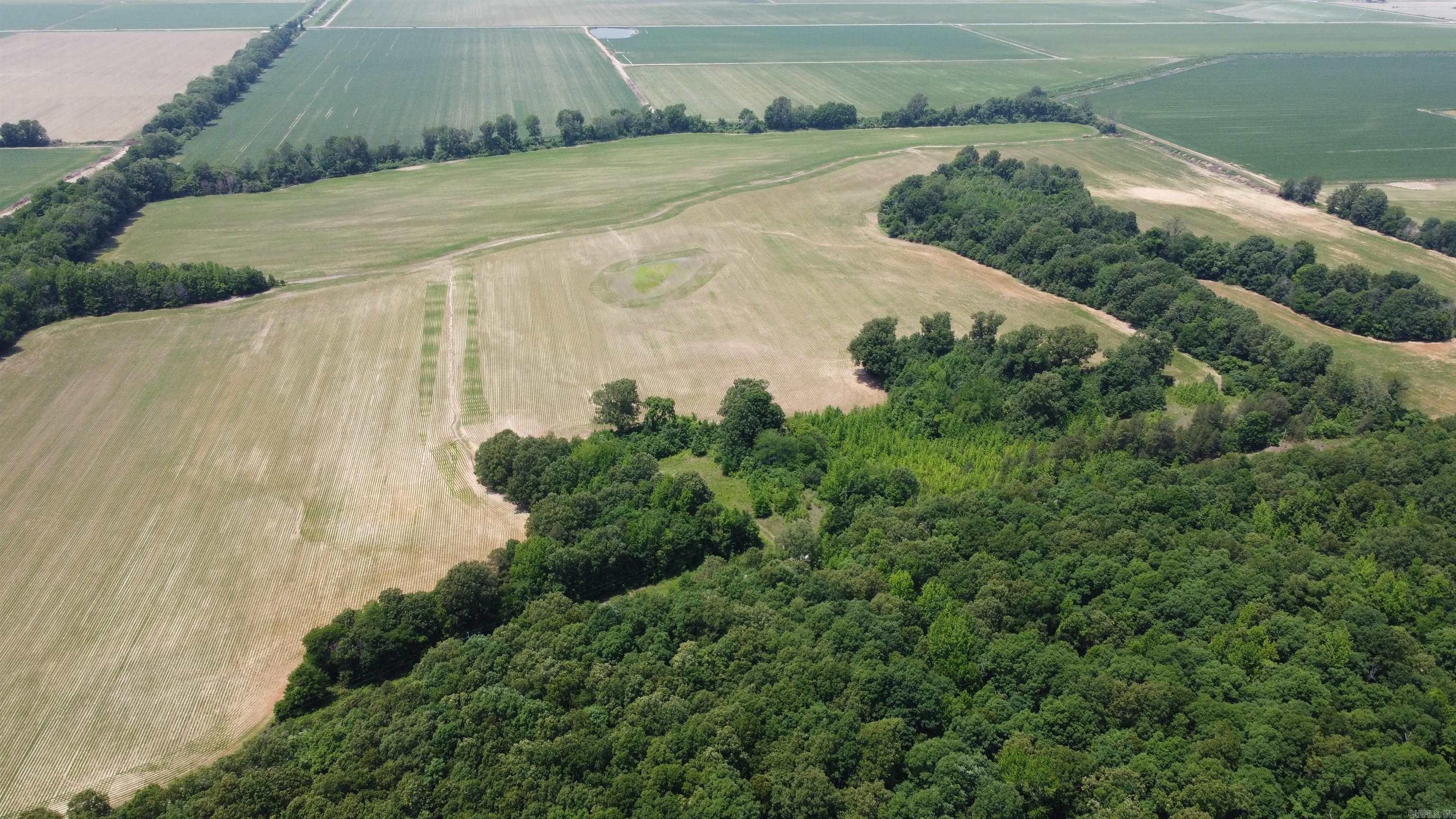 143.30 acres Greene 602 Paragould, AR Halsey Thrasher Harpole Real