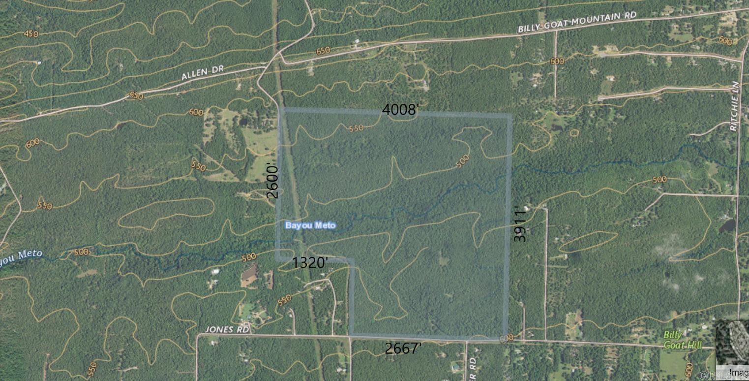 000 Jones Schrewsbury Road Otto, AR