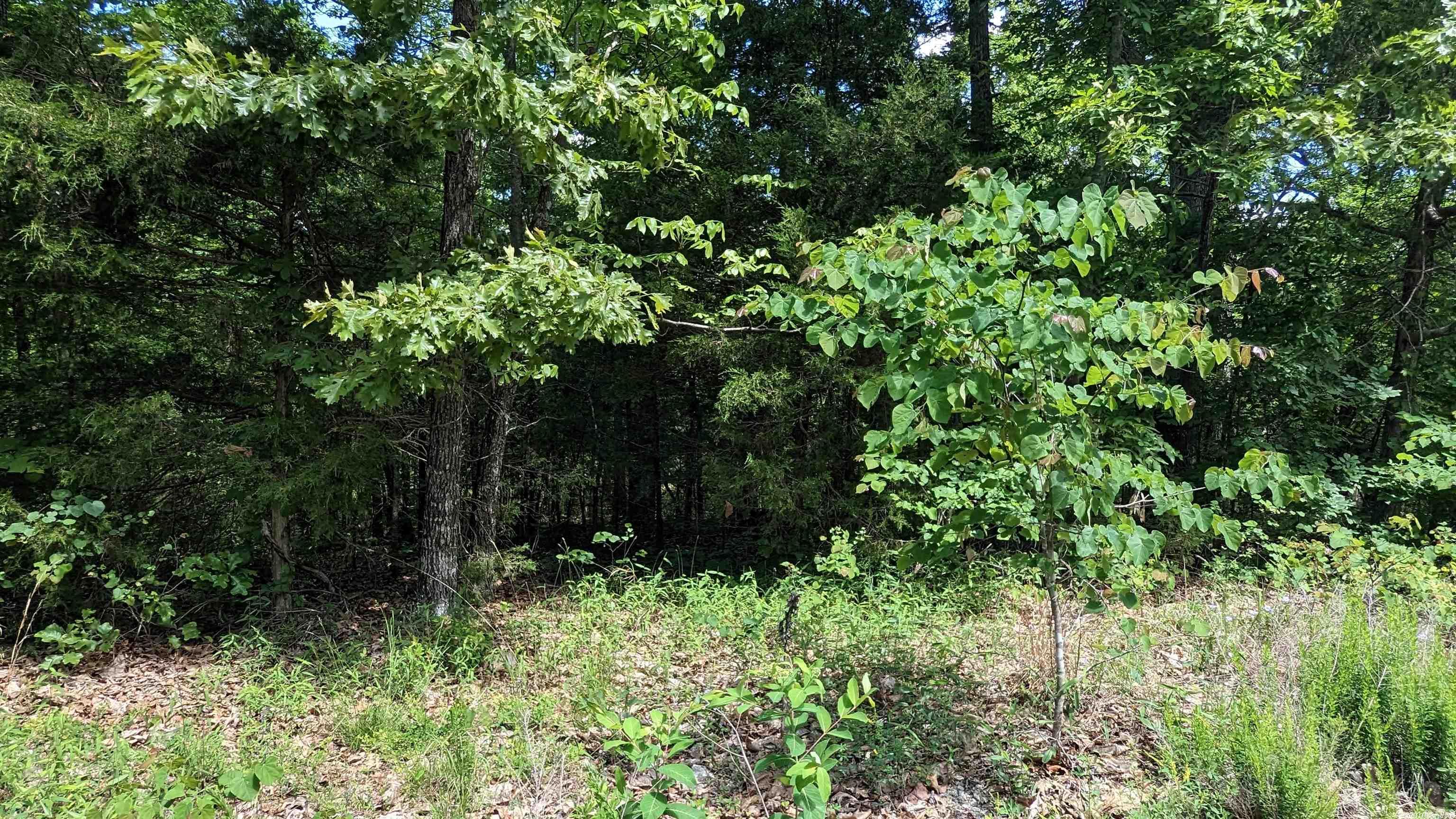 125  San Ildefonso  Cherokee Village, AR