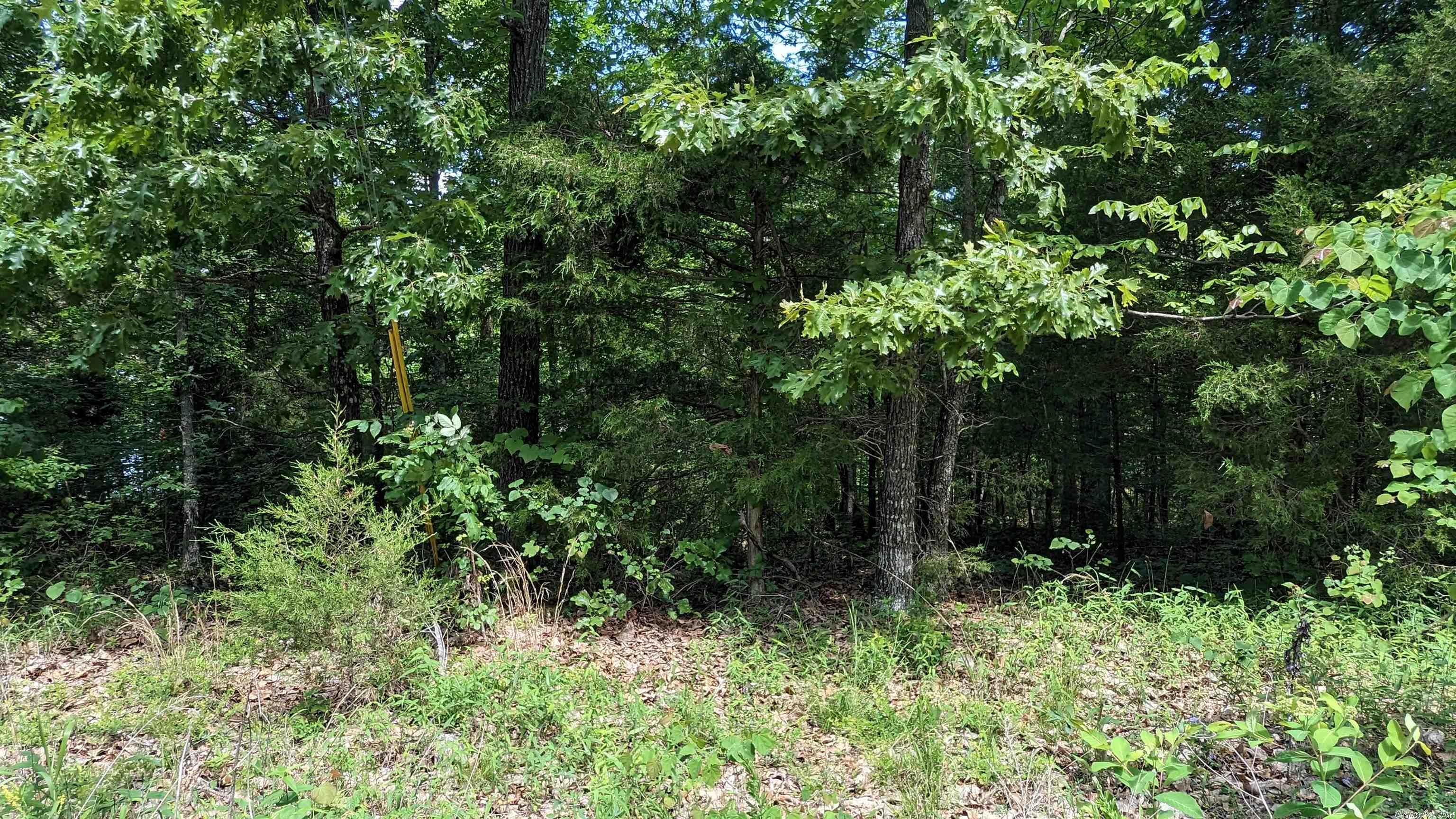 125  San Ildefonso  Cherokee Village, AR