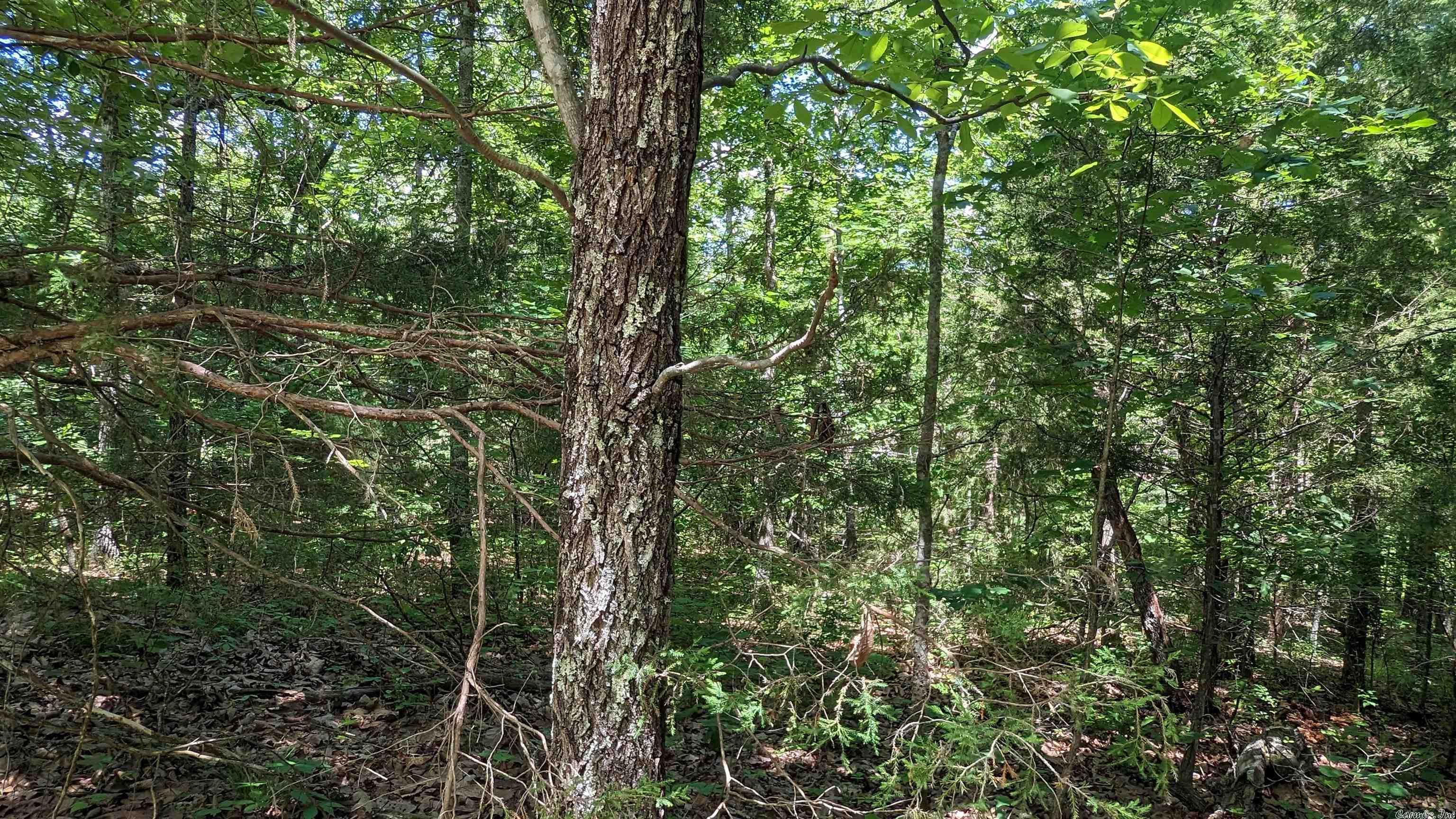 125  San Ildefonso  Cherokee Village, AR
