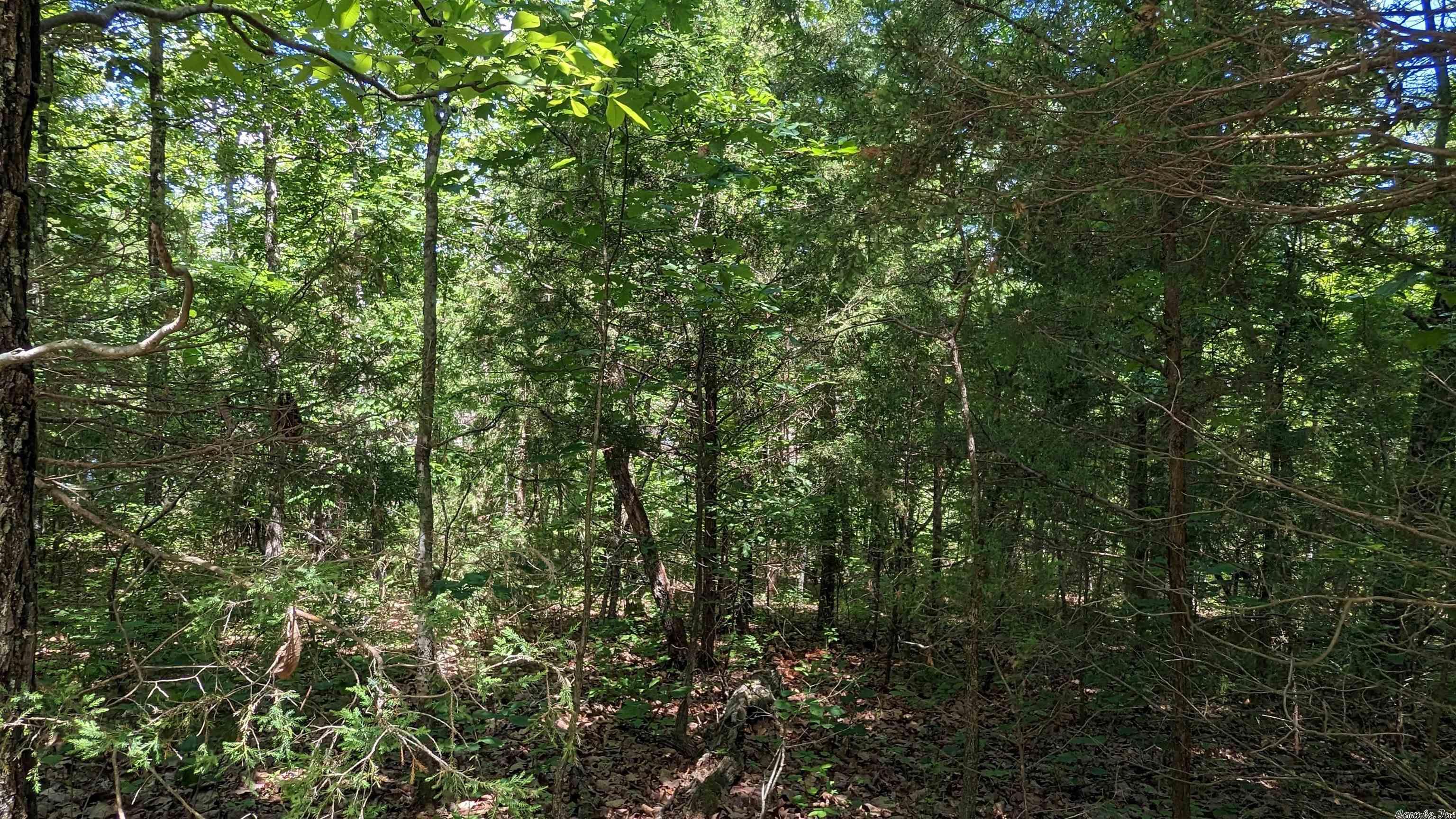 125  San Ildefonso  Cherokee Village, AR