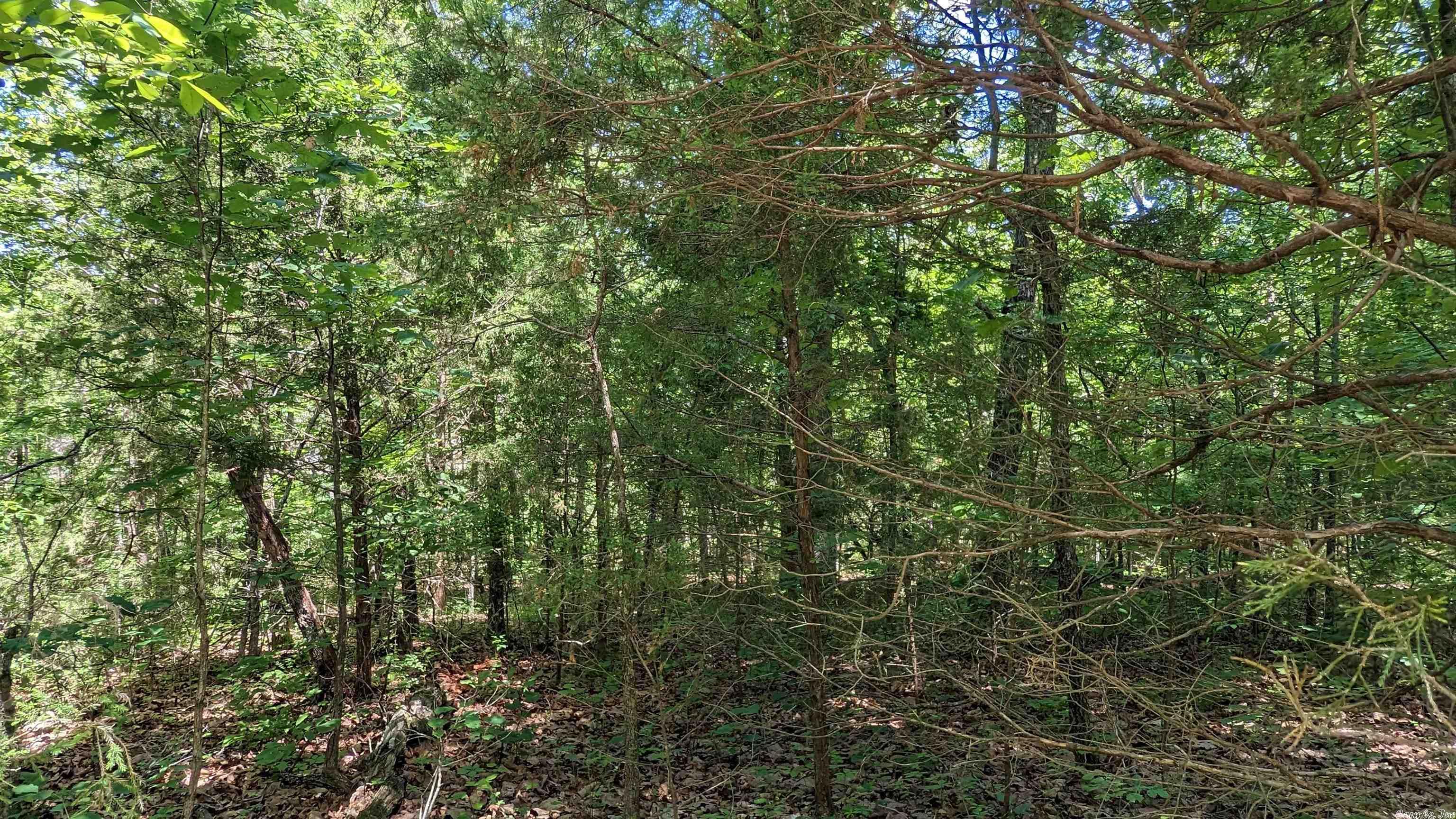 125  San Ildefonso  Cherokee Village, AR