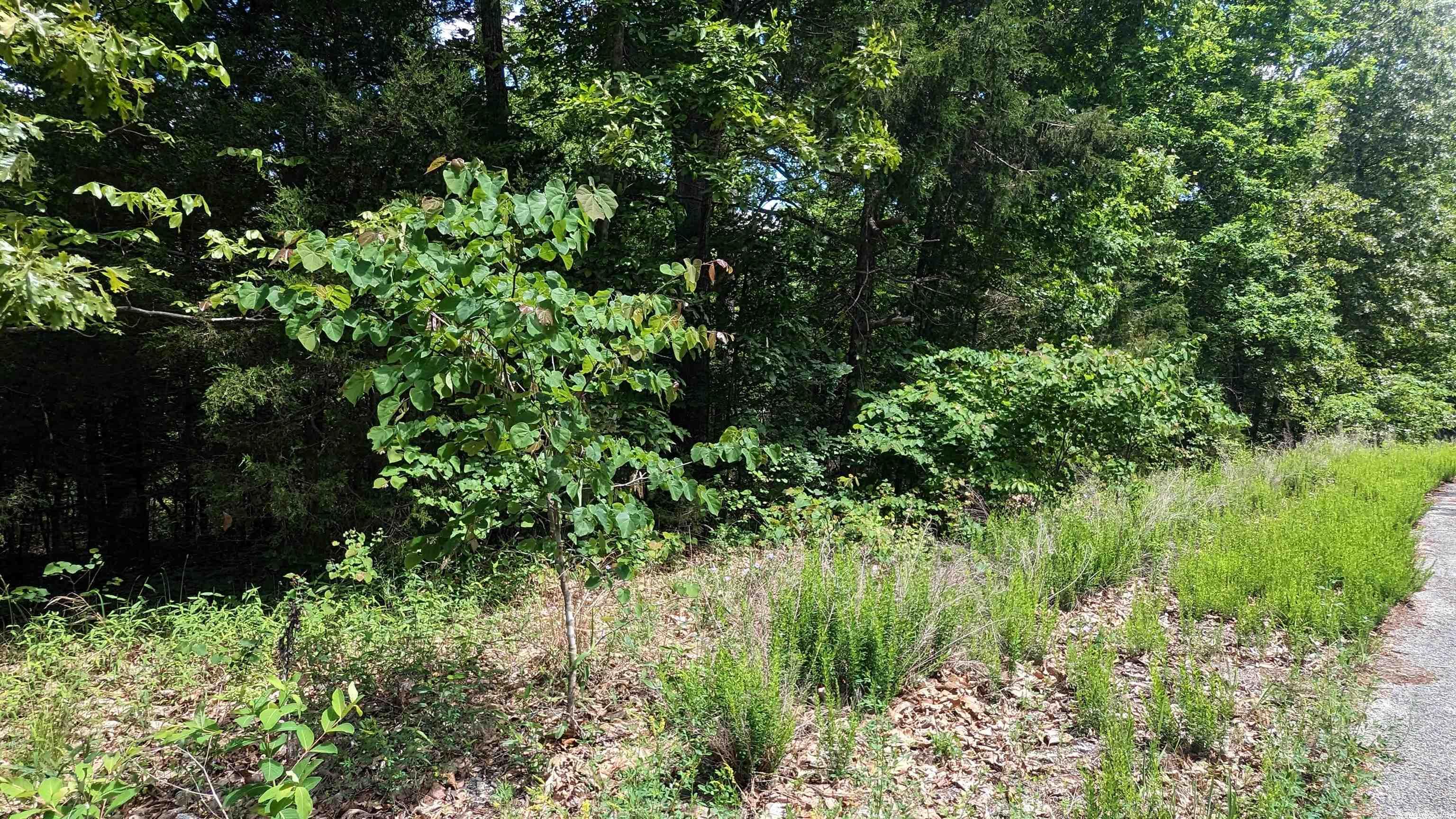 125  San Ildefonso  Cherokee Village, AR