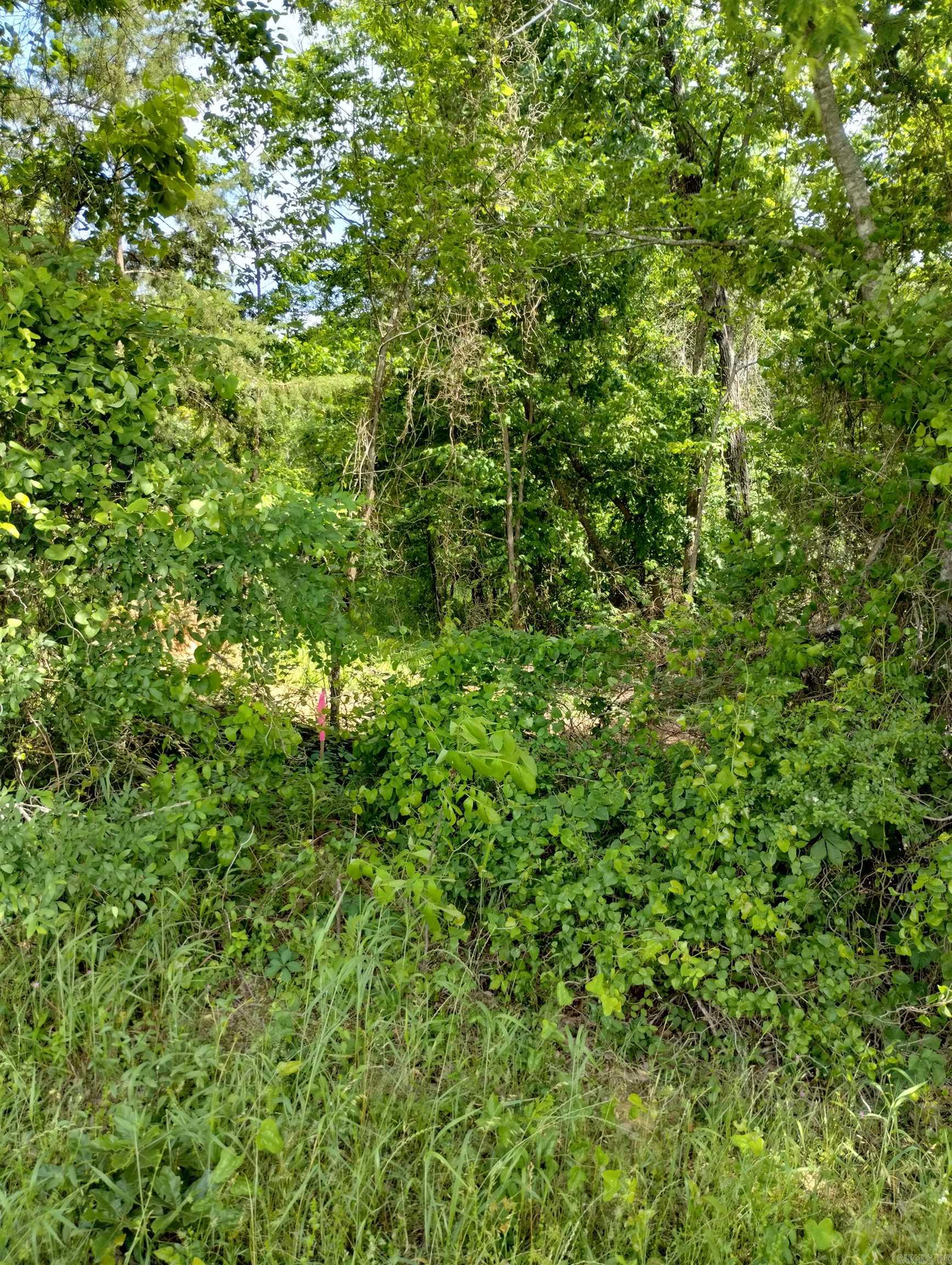 XX  Lot # 2  Rosboro, AR