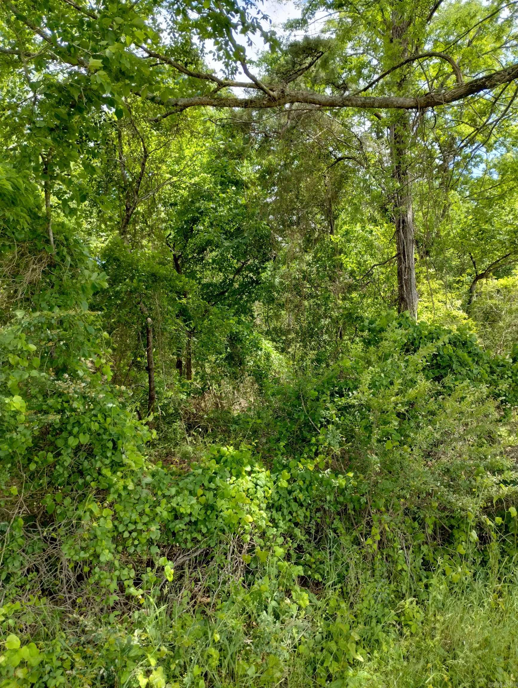 XX  Lot # 2  Rosboro, AR