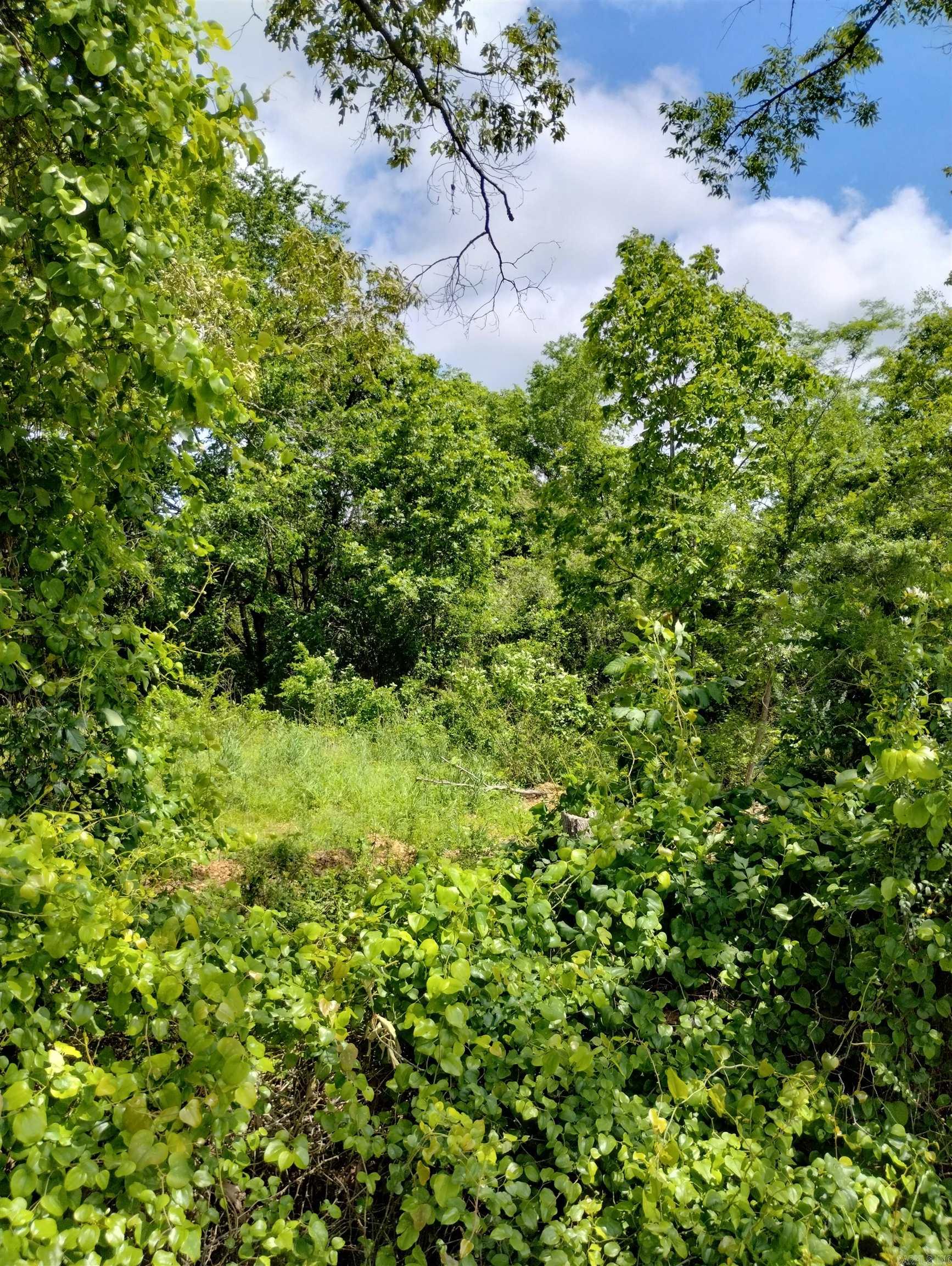 XX  Lot # 2  Rosboro, AR