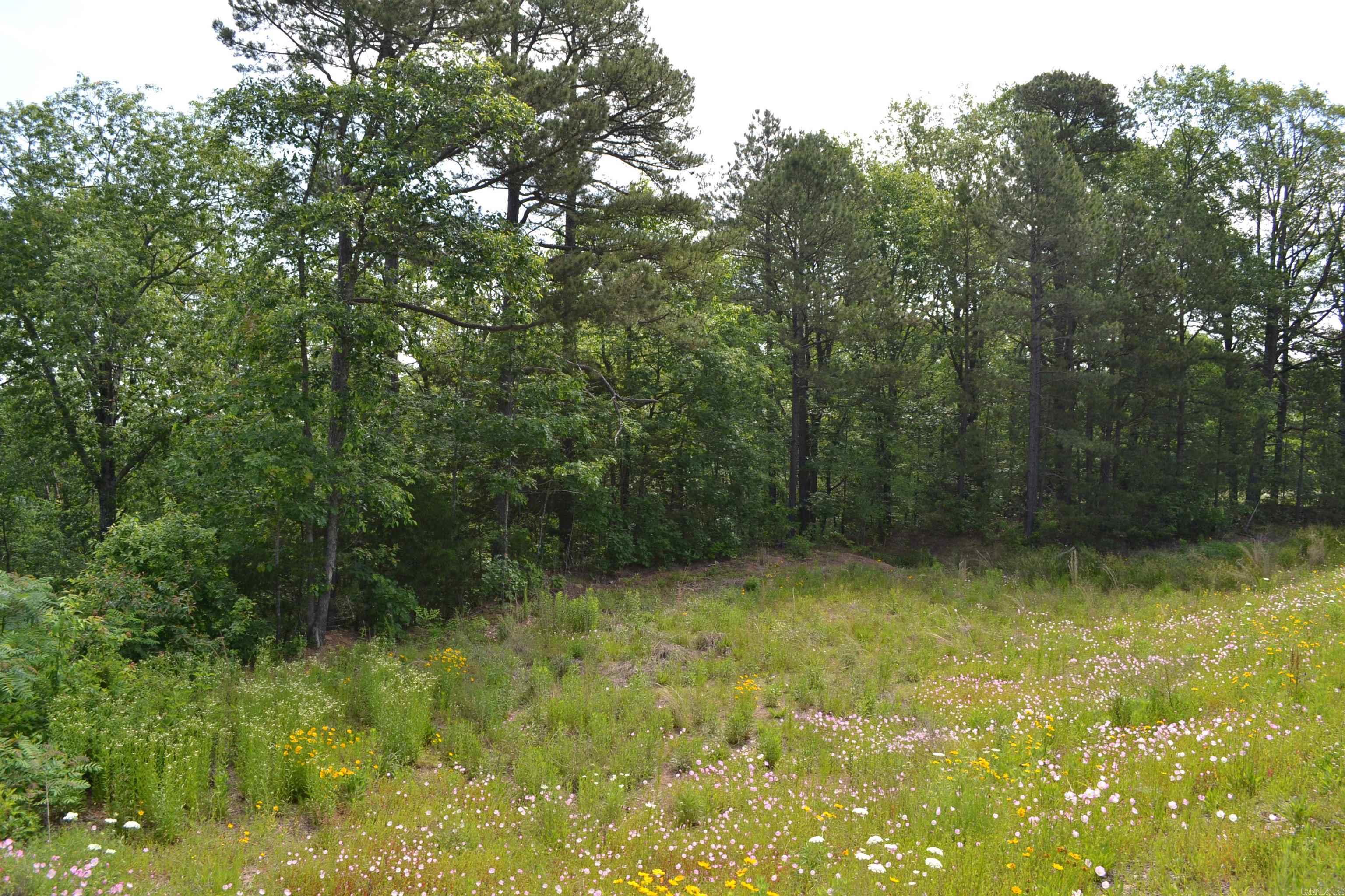 6534  Hwy. 65 N.  Clinton, AR