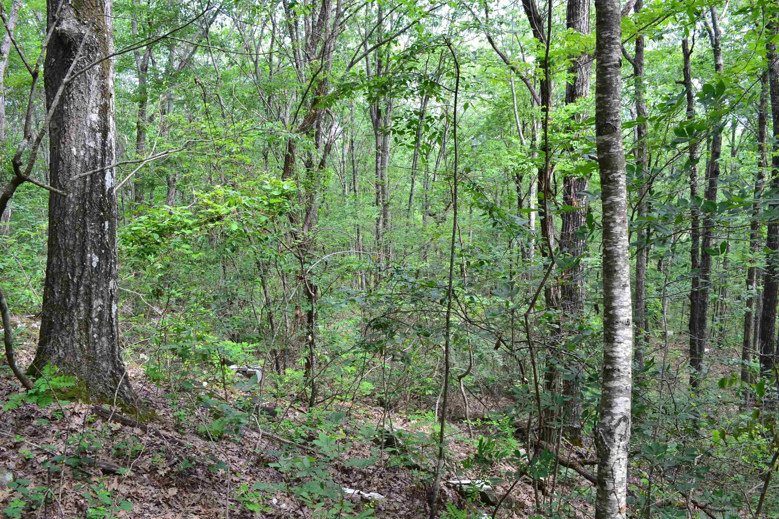 6534  Hwy. 65 N.  Clinton, AR