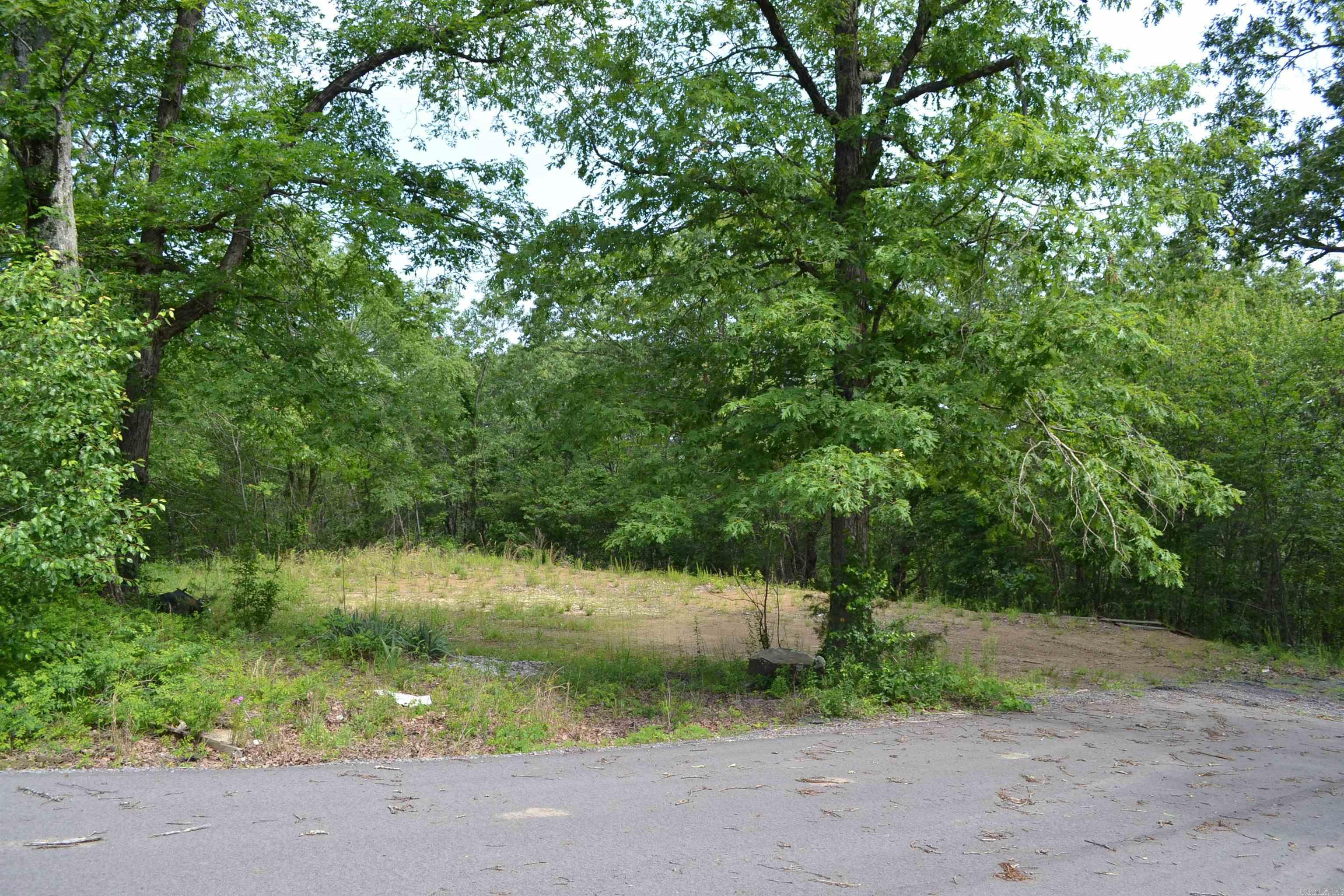 6534  Hwy. 65 N.  Clinton, AR