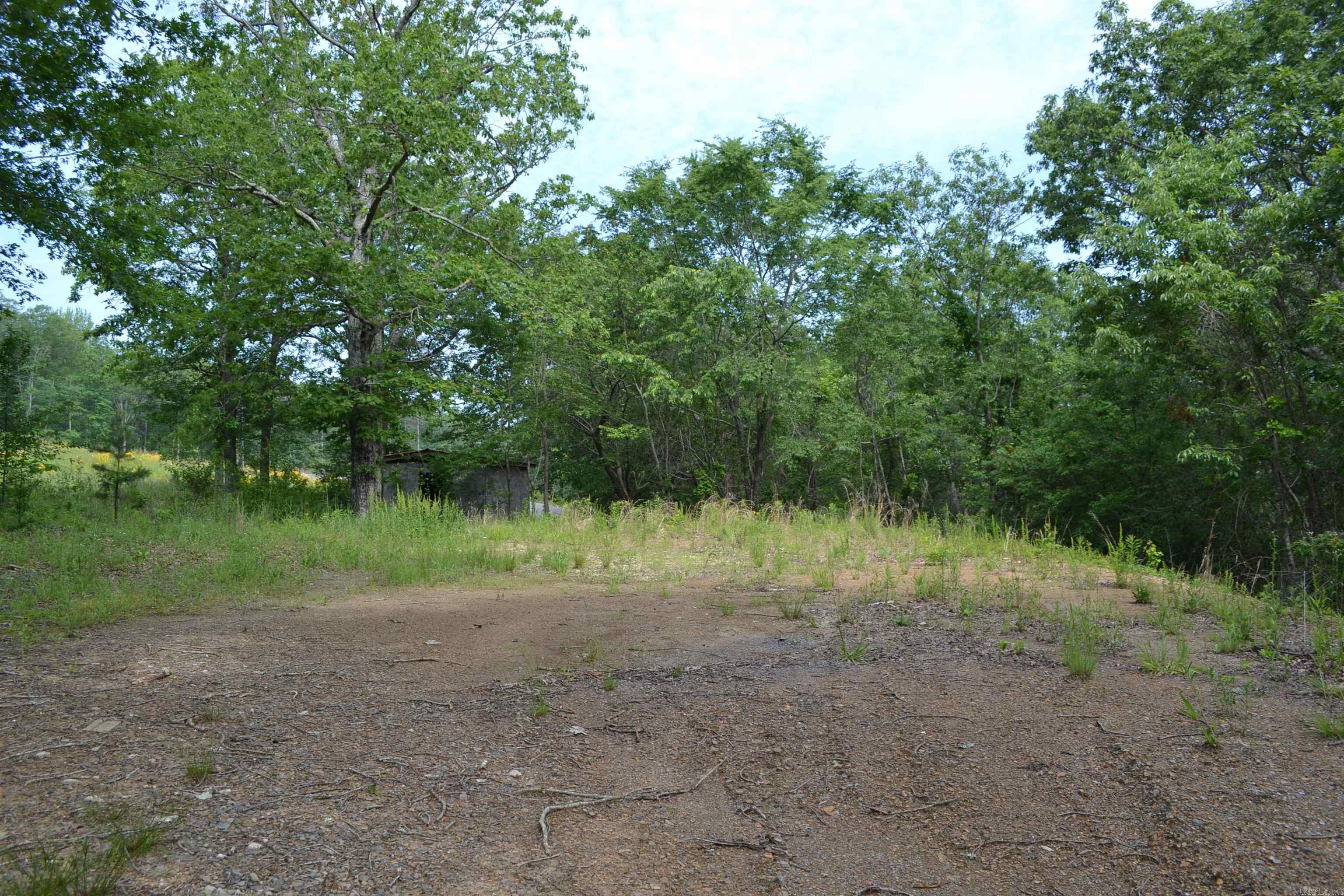 6534  Hwy. 65 N.  Clinton, AR