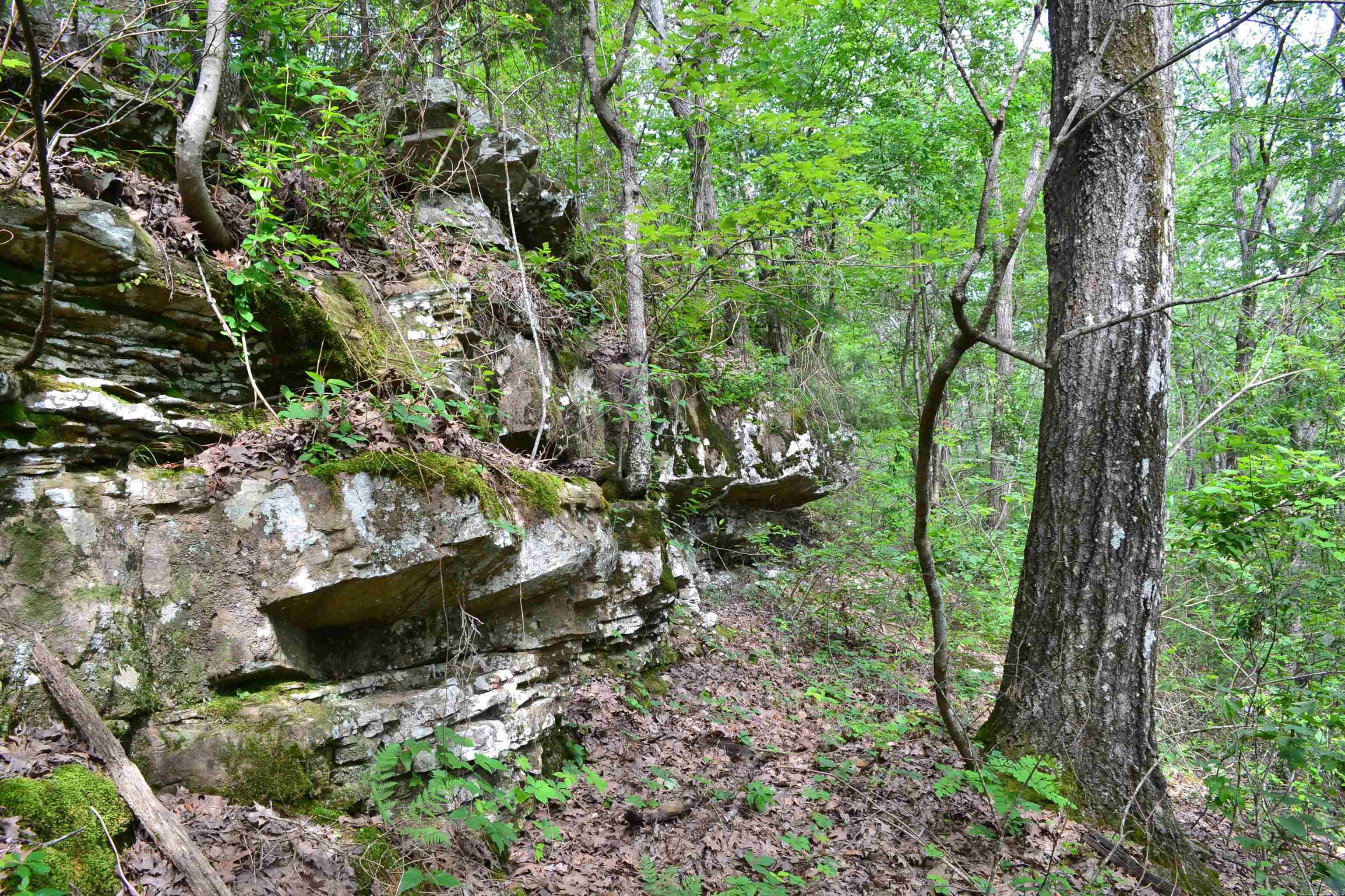 6534  Hwy. 65 N.  Clinton, AR