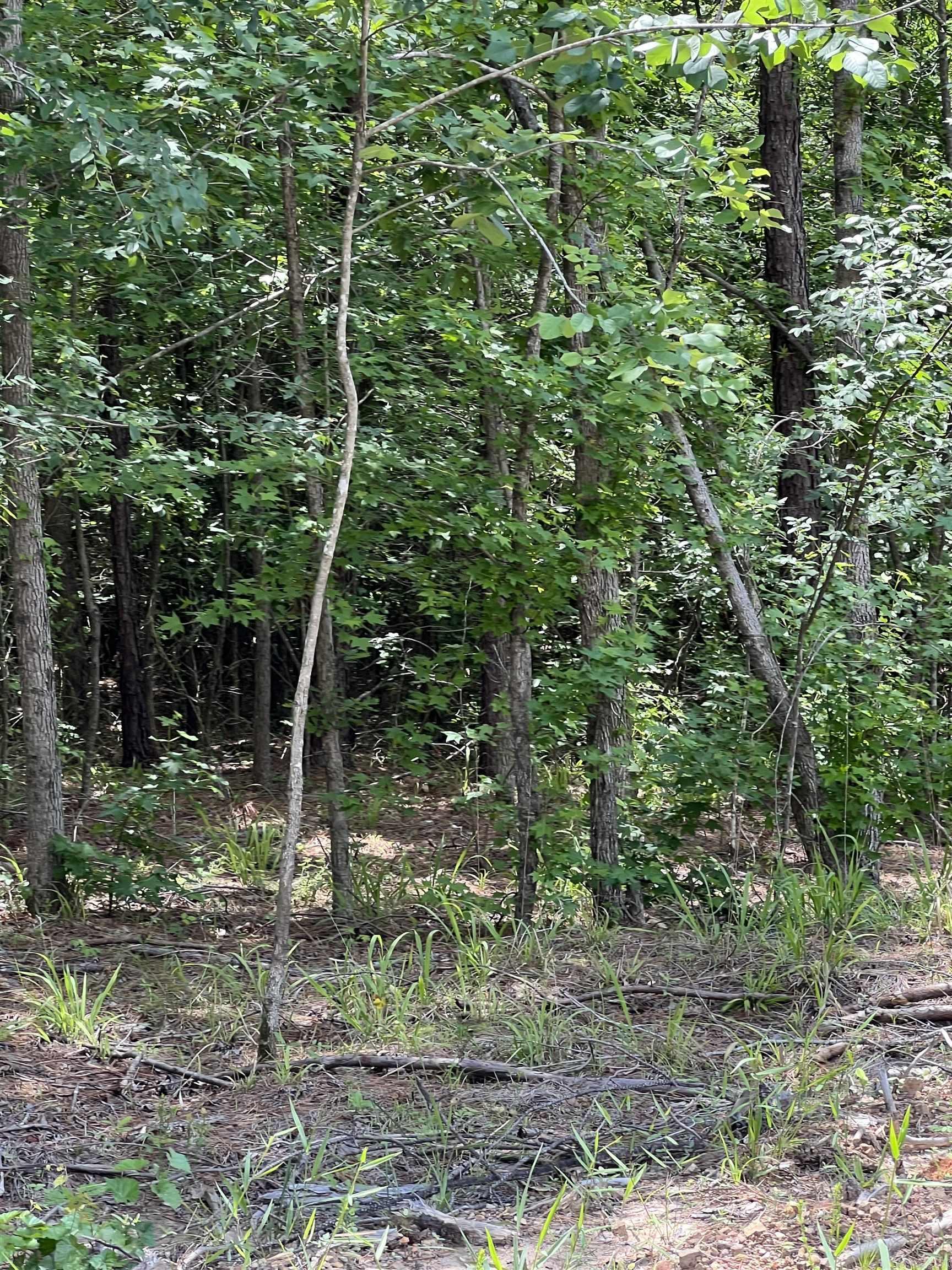 xx Lot 10  Castle  Glenwood, AR