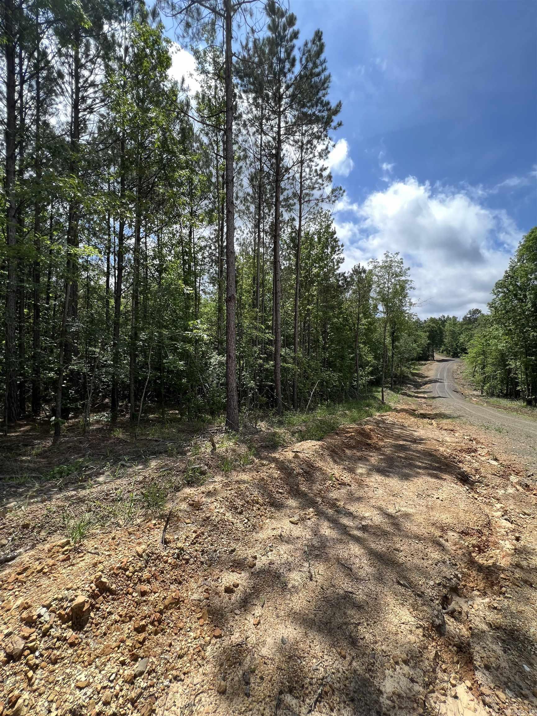 xx Lot 10  Castle  Glenwood, AR