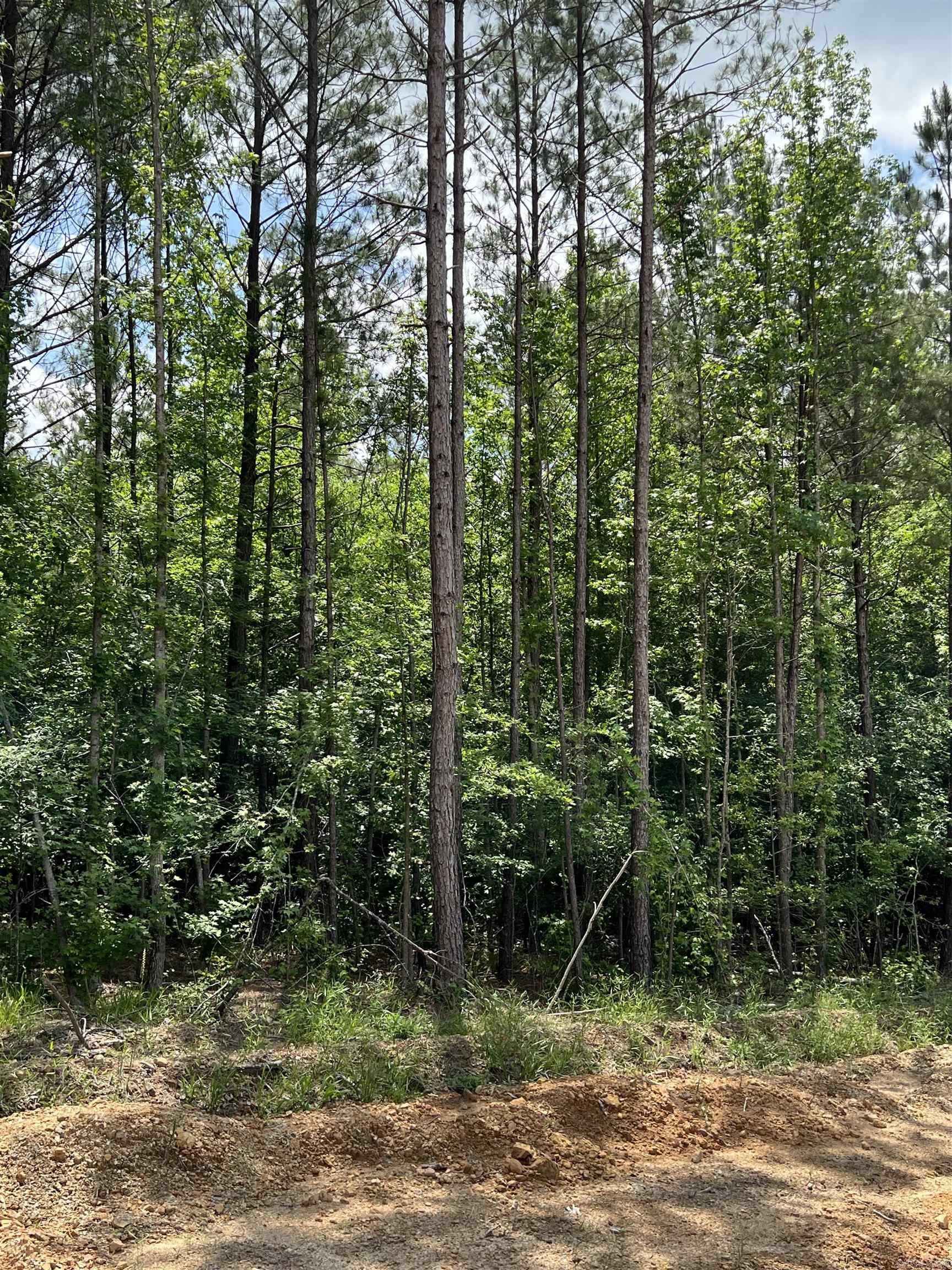 xx Lot 10  Castle  Glenwood, AR