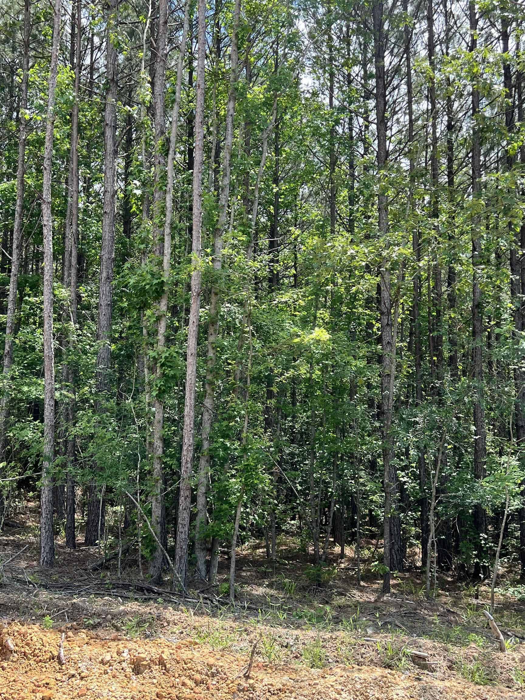 xx Lot 10  Castle  Glenwood, AR